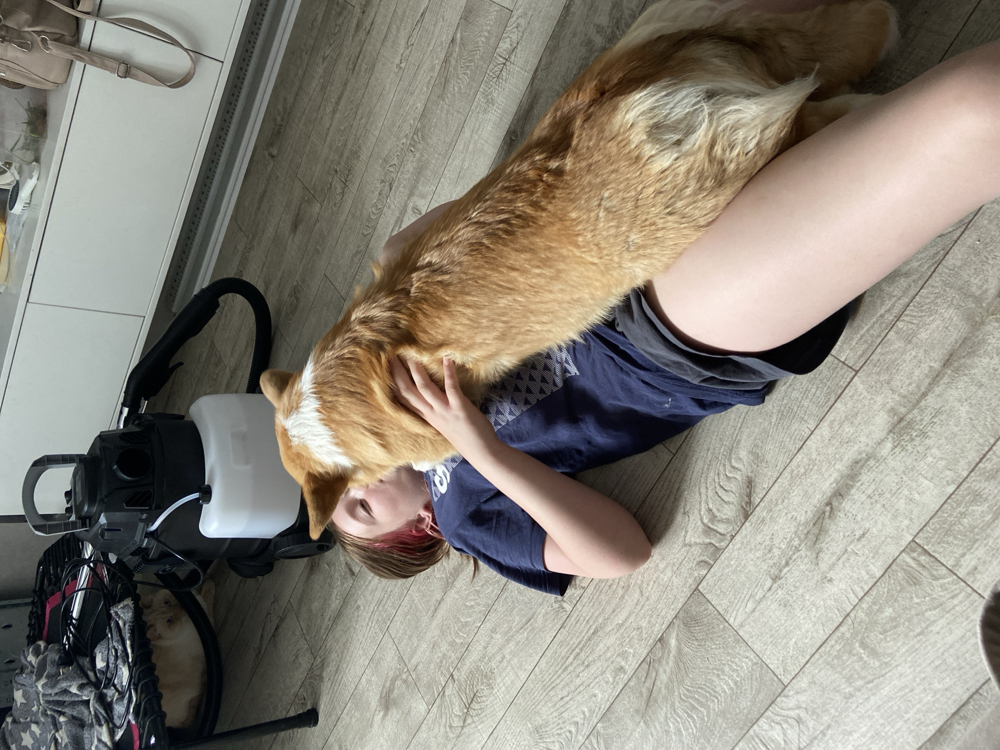 A young person with pink-tinted hair lies on a light-colored wooden floor, with their upper body supported by their arm. A tan and white Corgi dog is positioned vertically across their torso, with its head leaning towards the person's face as if in an affectionate gesture. The person is wearing a dark blue t-shirt and dark shorts. In the background, a large black and white portable wet/dry vacuum cleaner is visible, along with a grey blanket and some cables. The setting appears to be an indoor residential space, possibly a living room, with white cabinets and a light-colored wall in the background. The lighting suggests it is daytime. The image depicts an intimate moment between a person and their pet.