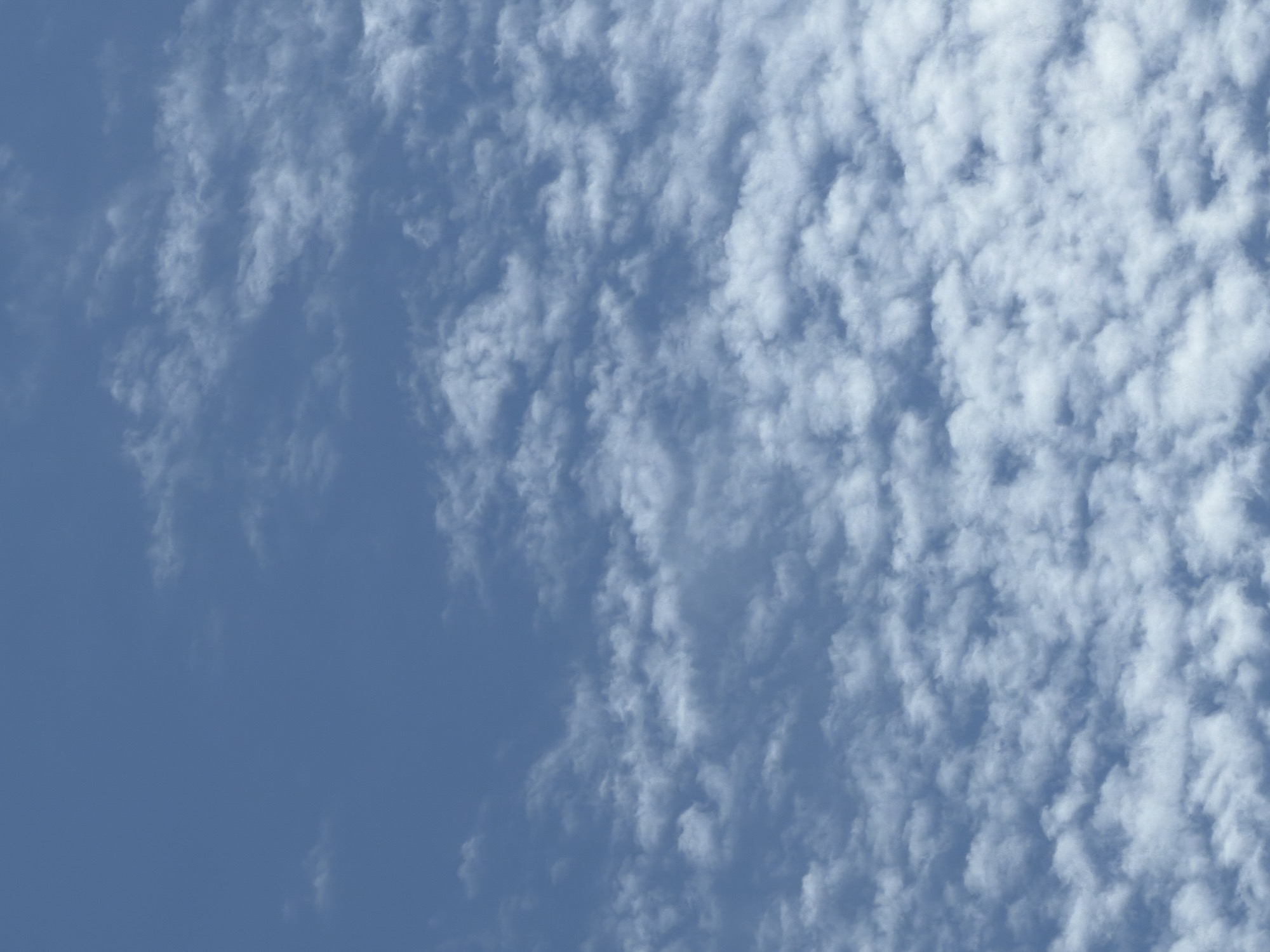 This media file depicts a sky filled with white, fluffy clouds against a clear blue background. The clouds are scattered unevenly across the frame, with a denser concentration on the right side of the image and thinning out towards the left. The scene is a natural one, capturing a typical daytime sky.
The image does not contain any people, objects, or discernible text. The activity taking place is simply the presence of clouds in the sky. There are no specific location cues evident in the image itself, beyond the general description of it being a sky. The time of day is likely daytime, given the brightness of the sky and clouds. The weather appears fair, with a clear sky and scattered clouds. No emotions are conveyed by the image.
