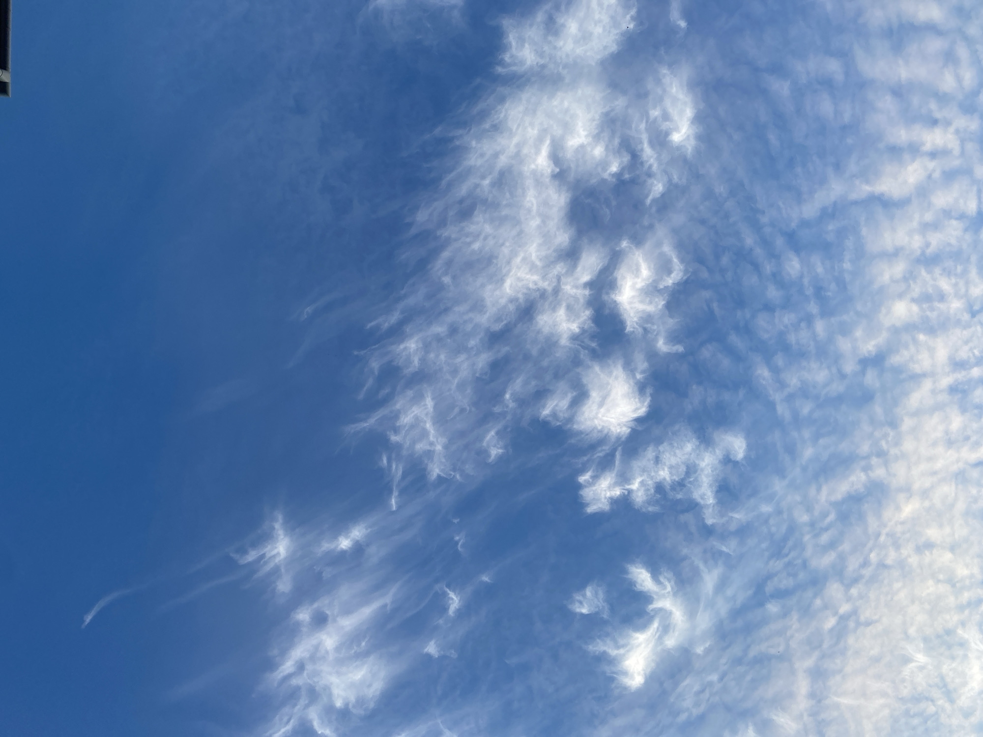 The image shows a sky filled with wispy cirrus clouds against a bright blue sky. The clouds are white and feathery, stretching horizontally across the frame, suggesting wind movement at high altitudes. The lower portion of the image shows a denser layer of clouds, possibly altocumulus, with a textured appearance. The scene appears to be an outdoor view from the city of Perm, Russia, with no identifiable landmarks or people visible. The lighting suggests it is daytime, possibly late morning or early afternoon.