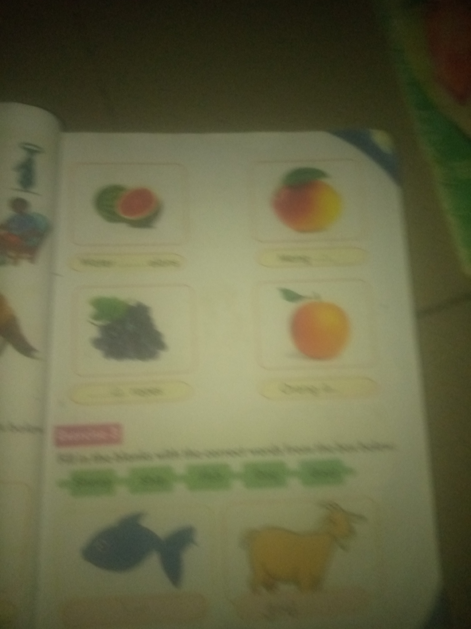 The image is a photograph of an open book, possibly a children's educational book. The book displays illustrations of various fruits and animals, along with some text. In the top left corner, there's an illustration of a watermelon slice. To its right is an illustration of a peach. Below the watermelon is an illustration of grapes. To the right of the grapes is another peach-like fruit. Below these fruit illustrations, there are outlines of a fish and a goat. There are also green rectangular boxes which likely represent fill-in-the-blank sections for text. The background is a blurry, dark surface. There are no discernible city locations or specific environmental details other than what is presented in the book's illustrations.