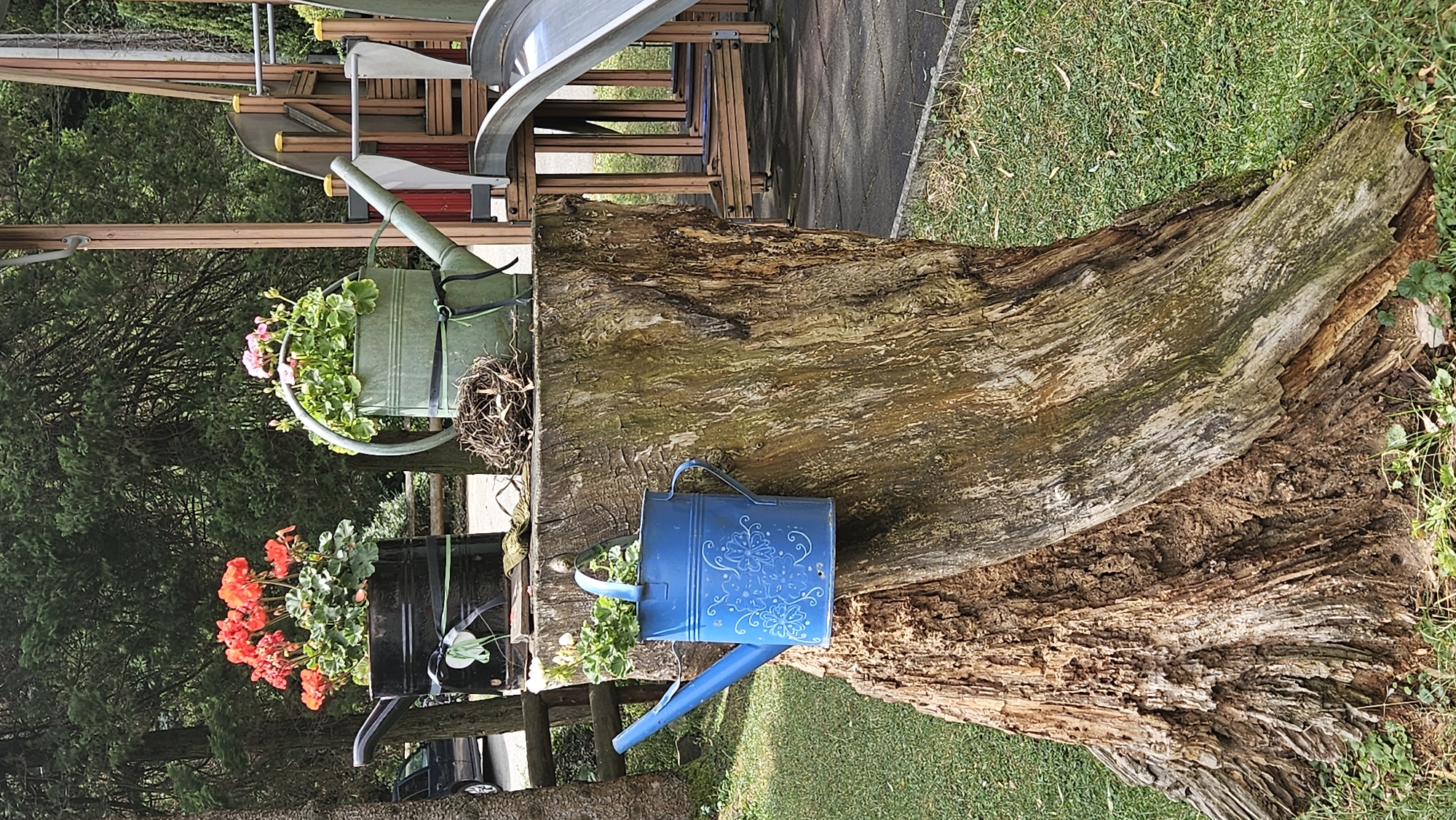 The image depicts a rustic garden scene set against a backdrop of trees and a playground structure. In the foreground, a large, weathered tree stump serves as a display platform. Two watering cans are prominently featured: a black one on the left holding vibrant red flowers, and a light green one on the right with pink flowers. A small bird's nest rests between the two watering cans. To the left of the stump, a blue watering can with decorative white floral patterns is attached to the side of the stump.
In the mid-ground, a wooden fence is visible, and a sliver of a car can be seen parked behind the fence. The background consists of dense green trees and a playground slide with its characteristic metal and plastic components. The ground is covered in green grass. The overall impression is one of a charming, slightly overgrown outdoor space, possibly a garden or a park. The image captures a static moment in time, with no people or animals present.
The scene is likely located in the city of Prešov, Slovakia, given the context provided. The environment suggests an outdoor public space, possibly a park or a community garden area, where decorative elements like the watering cans and flowers are used to enhance the aesthetic appeal. The presence of the playground indicates a family-friendly location. The weathered tree stump and the natural surroundings suggest an established area that has been cared for over time.