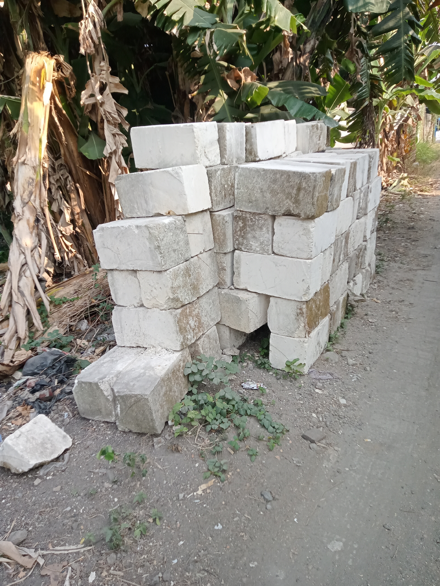 A close-up, low-angle outdoor shot shows a pile of rectangular, light-colored building blocks stacked haphazardly in front of a dense wall of banana trees. The blocks are dusty and some appear to be broken or chipped. The ground beneath and around the blocks is a mixture of dirt, small stones, and scattered dry leaves and debris. To the left of the pile, there's a black plastic bag and some fragmented white material. To the right, the ground slopes gently away, and a faint indication of a path or road is visible. The lighting suggests it is daytime, with sunlight filtering through the leaves of the banana trees, casting dappled shadows.