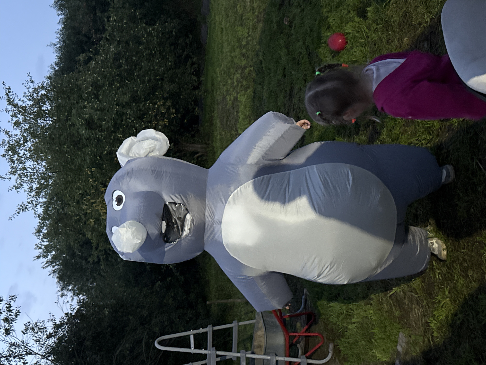 In a grassy outdoor area that appears to be a backyard in the village of Khokhryaki, Russia, an individual wearing a large, inflatable grey koala costume stands in the center of the frame. The costume has a white belly and large white ears, with a black mouth and white eyes. To the right of the koala, a young girl with brown hair styled in two braids, each secured with green elastics and orange ties, is facing away from the camera. She is wearing a bright pink hooded jacket over a white garment. In the background, a ladder stands next to a wheelbarrow filled with dirt, and a dense line of trees forms the backdrop. The sky is a dusky blue, suggesting it is either early morning or late evening. A red ball is visible on the grass to the right of the girl.
