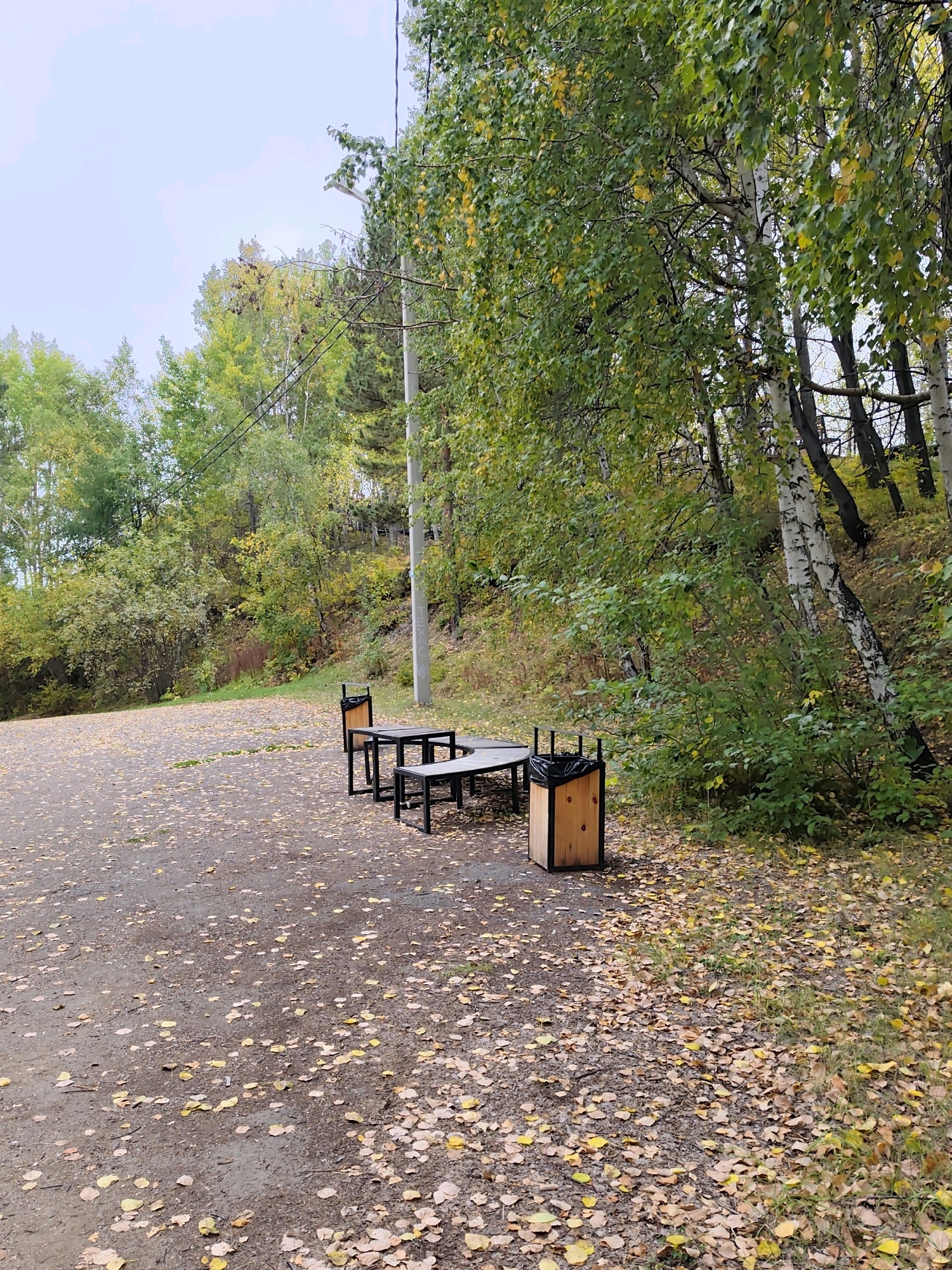 An outdoor seating area with a table and two benches is situated in a park area. The ground is covered with fallen leaves, indicating an autumn season. The background features a wooded hillside with trees displaying autumn foliage, as well as a utility pole and wires. The overall environment suggests a public park in a natural setting. The location is identified as Nikola, Russia.