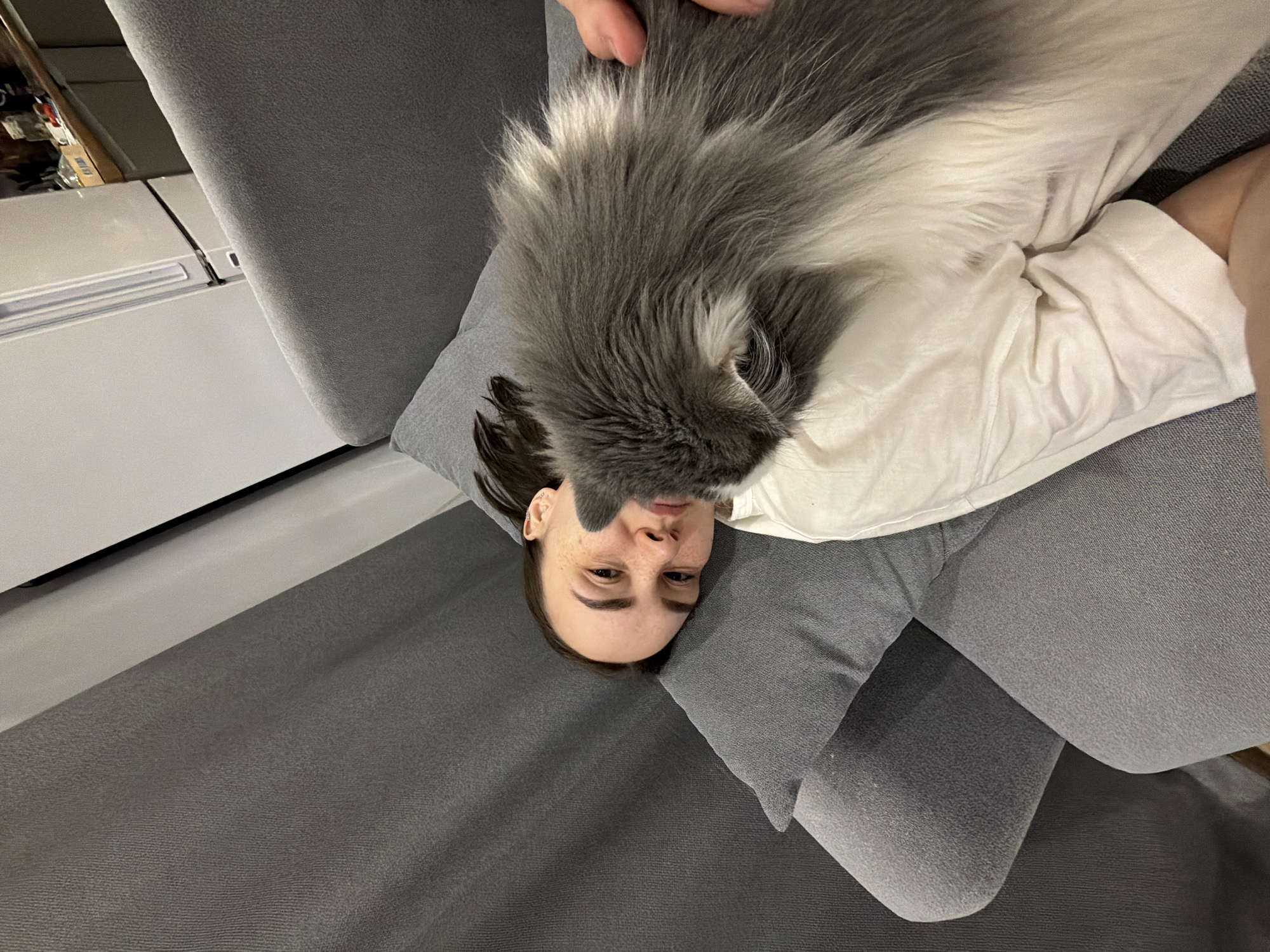 A woman is lying on a gray sofa with a gray and white fluffy cat sitting on her chest. The woman is wearing a white t-shirt. The background includes a gray carpet and a white refrigerator. The image does not explicitly provide enough detail to place the scene in Chaikovsky, Russia.