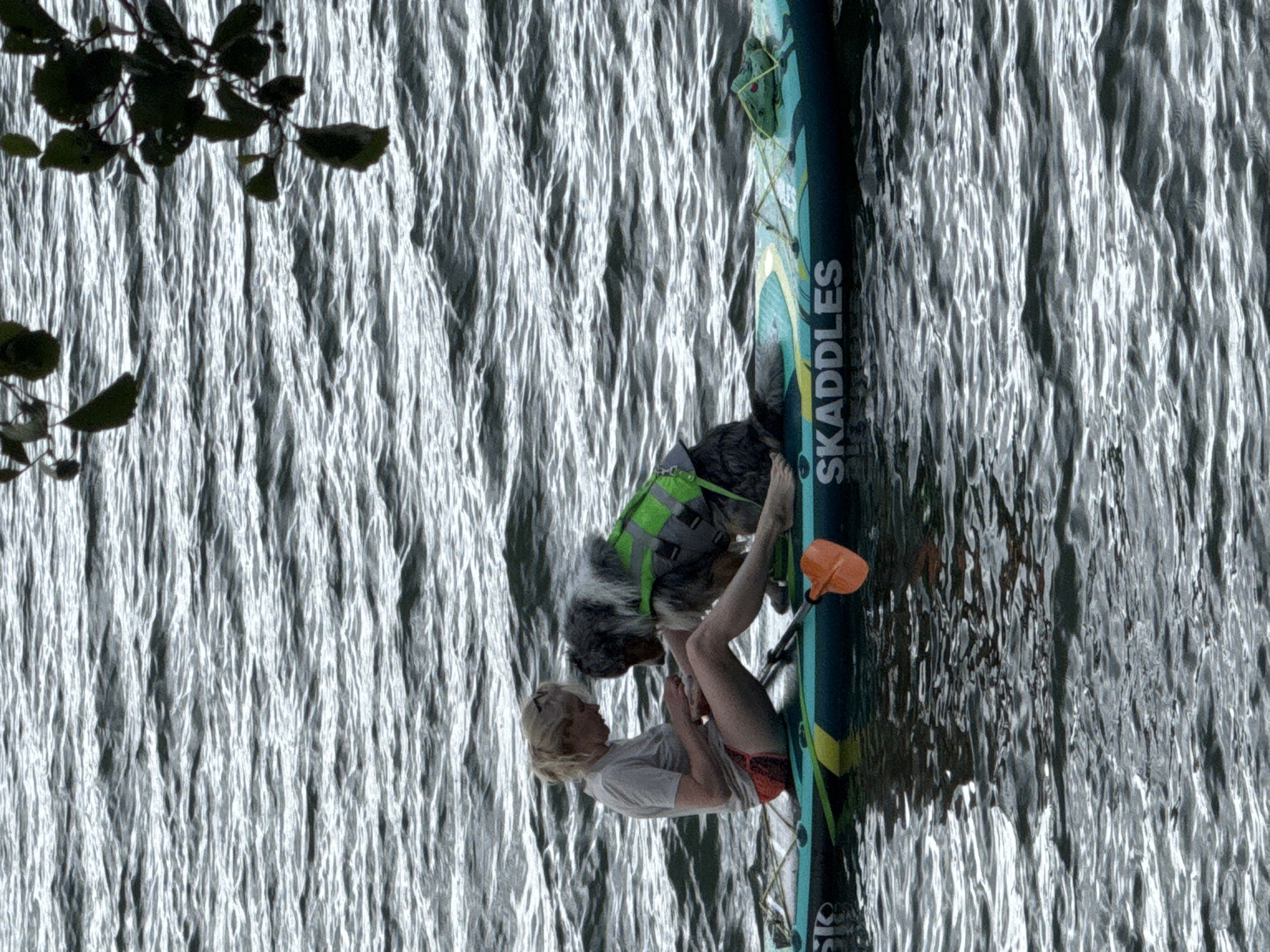 A woman and a dog are on a paddleboard in the water. The woman is sitting on the left side of the paddleboard, wearing a light-colored t-shirt and red shorts. She is looking down at something in her hands. The dog is sitting to her right, wearing a bright green life vest. The paddleboard is dark green and has the word "SKADDLES" written on the side in white letters. An orange paddle is resting on the paddleboard. The water is choppy, with ripples visible. There are some dark leaves and branches hanging from above on the right side of the frame. The image appears to be taken from a slightly elevated perspective. The location is the city of Priladozhskoe, Russia.