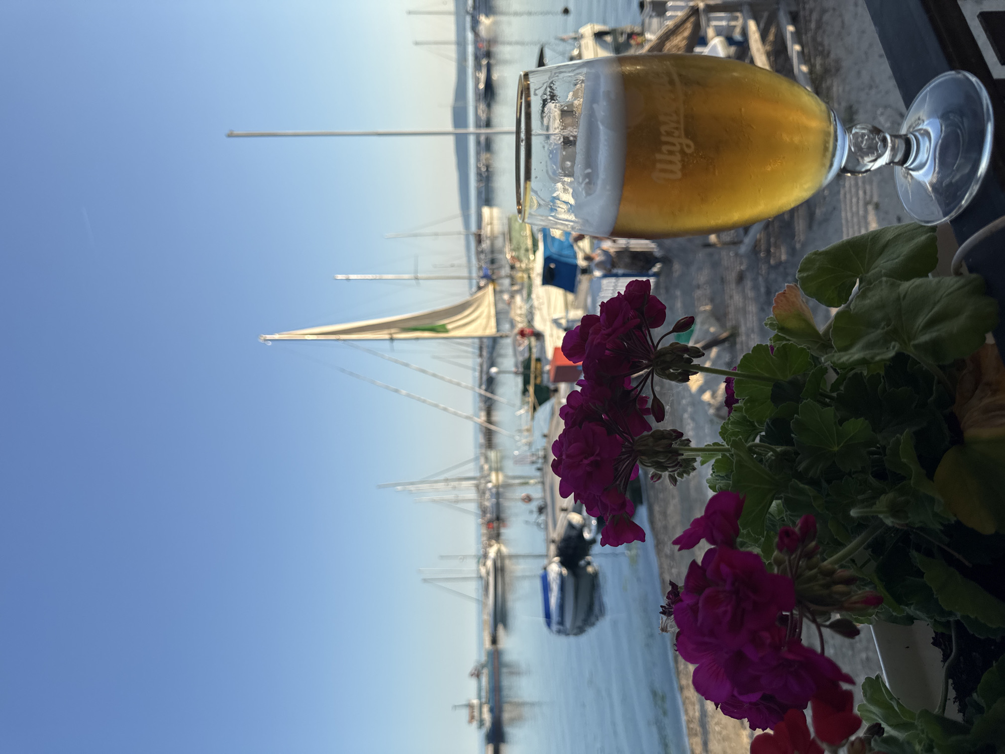 A glass of beer is in the foreground on the right, with a foamy head and condensation on the glass, sitting on a dark railing. Behind the glass, a marina filled with sailboats and smaller boats is visible. The water is calm and reflects the clear blue sky. In the middle ground, there are docking areas and some people walking around. On the left side of the foreground, dark pink flowers with green leaves are in a planter. The overall scene appears to be a serene view of a harbor on a sunny day, likely in Balchik, Bulgaria, known for its beautiful coastline and marinas.