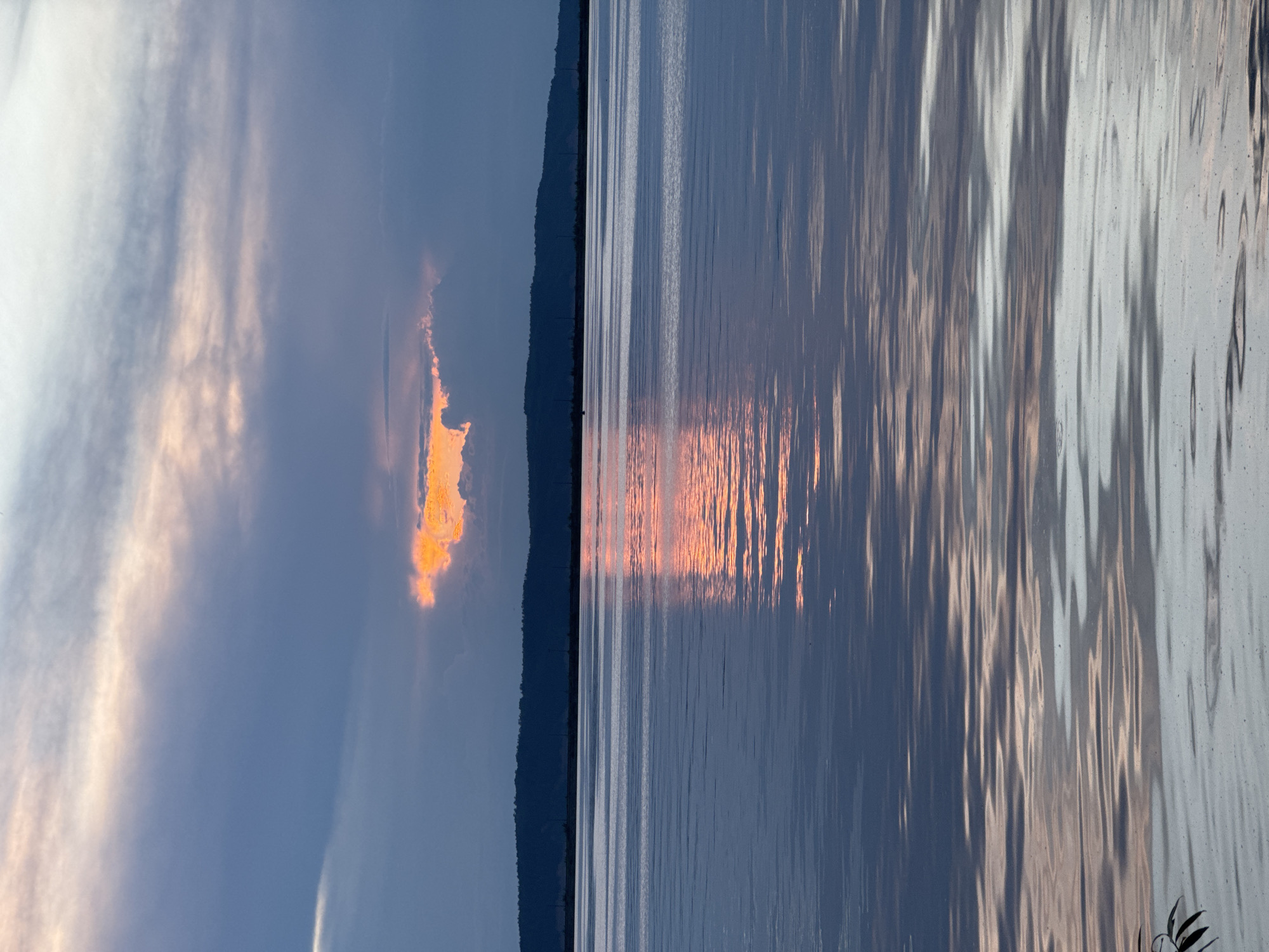 A wide-angle, vertical-format, eye-level shot captures a serene body of water reflecting a dramatic sunset. The sky is a blend of deep blues and grays, with a bright orange cloud illuminated by the setting sun peeking through a break in the clouds. This vibrant light casts a striking orange reflection on the calm water's surface, creating a sharp vertical line of color. A dark, silhouetted landmass, likely a hill or mountain range, forms the horizon line. The water itself is smooth with subtle ripples, further diffusing the colors of the sky and reflection. In the lower left corner, a few dark leaves on a thin branch are visible, suggesting the viewpoint is from the edge of the water. The overall scene evokes a sense of tranquility and the beauty of nature at dusk.