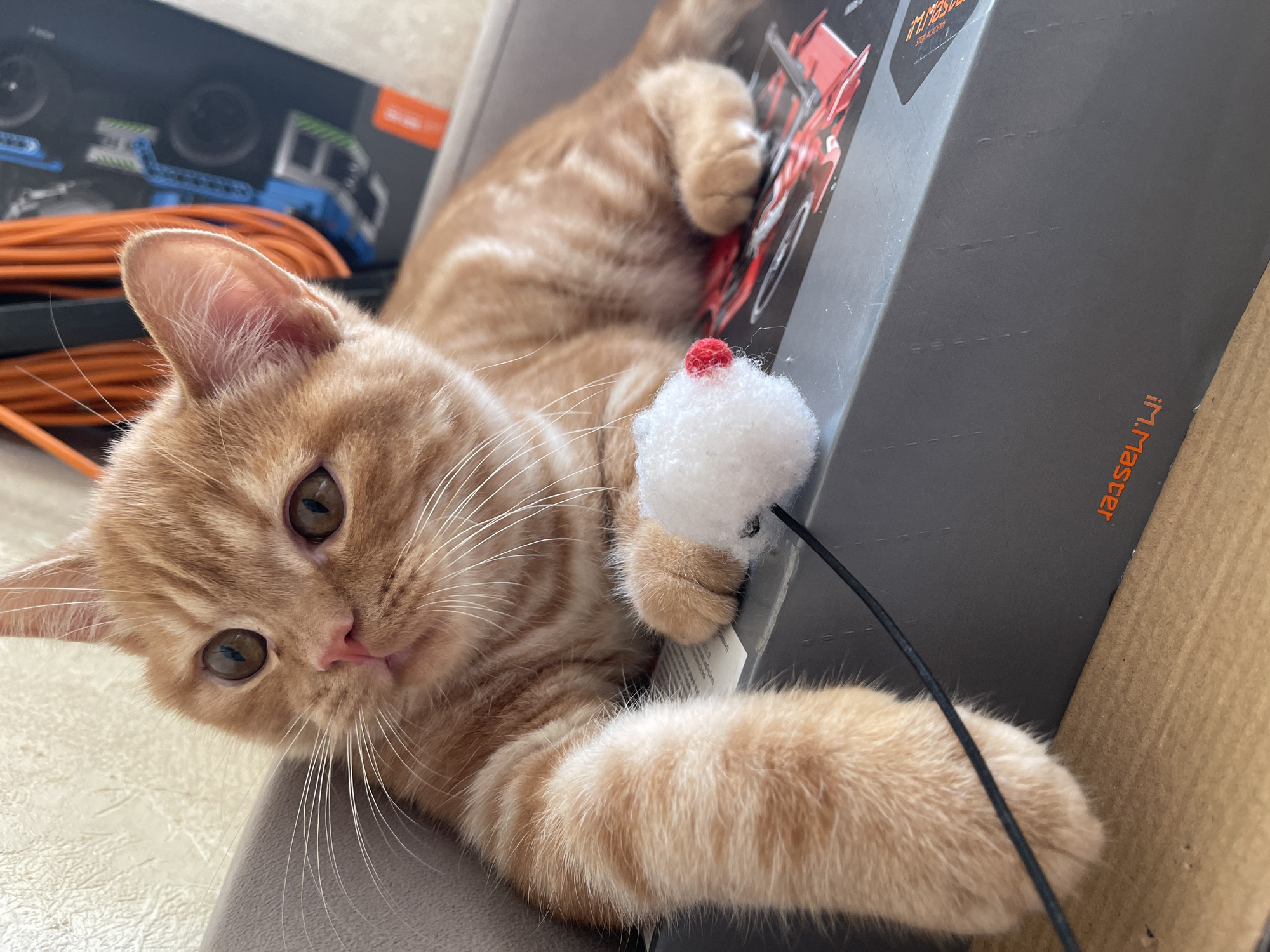 An orange tabby kitten is lying on its side on a gray box. The kitten is looking towards the left side of the frame, with its left paw resting on the box. A small white toy mouse with a red dot on its nose is positioned near the kitten's paw, attached to a thin black string that is slightly visible. The kitten's fur is light orange with darker orange stripes. The background is out of focus, showing a textured wall to the left and a dark object with orange and blue elements behind the kitten. The scene appears to be indoors.