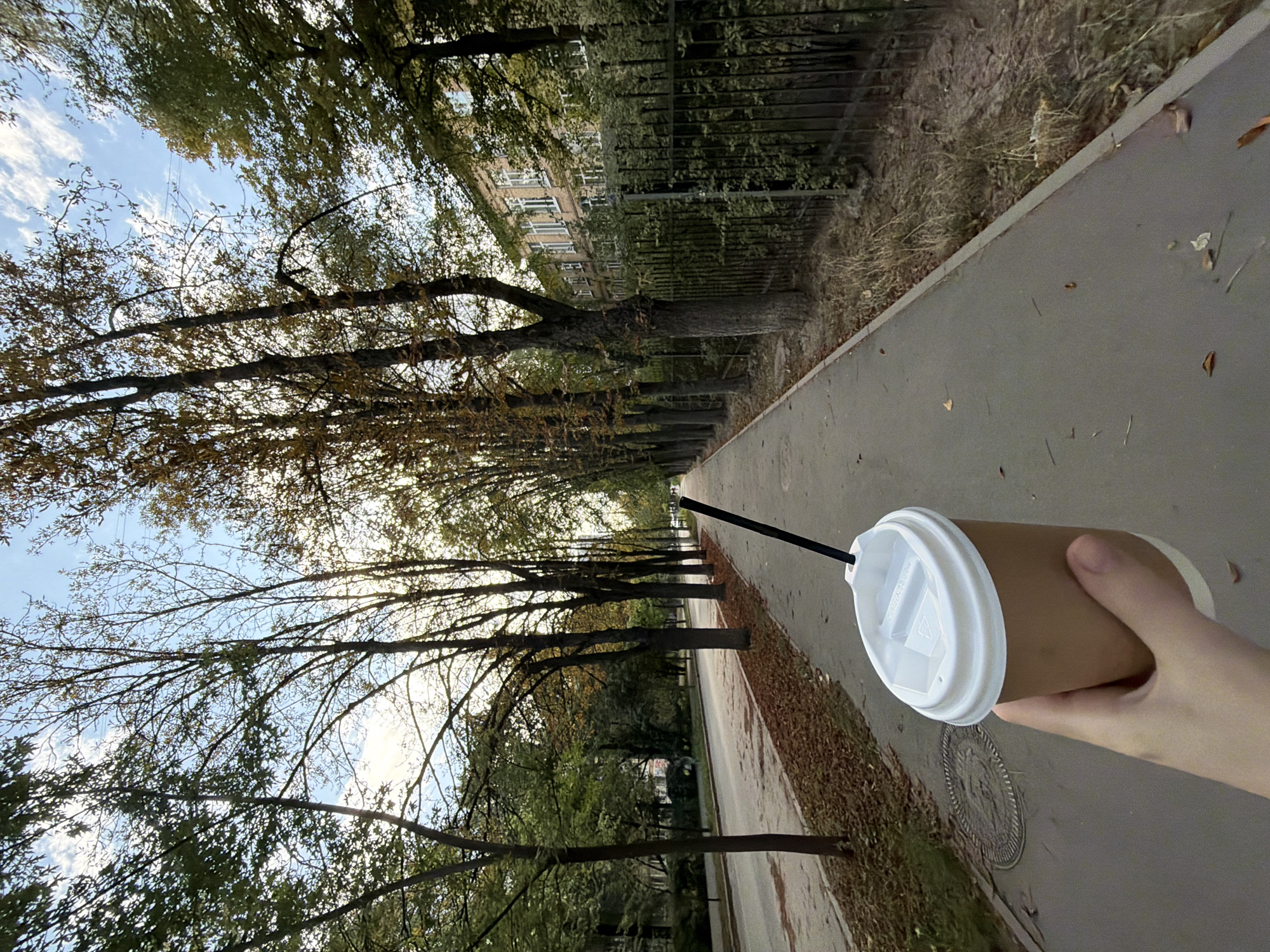 In Kyiv, Ukraine, a hand holds a disposable coffee cup with a white lid and a black straw, positioned in the foreground. The cup is made of brown paper and is being held by a person whose fingers are visible on the side. The background reveals a tree-lined sidewalk adjacent to a street, with fallen autumn leaves scattered on the ground and along the curb. Beyond the trees, a building with multiple windows and a fence can be seen. The sky above is blue with scattered clouds. The scene appears to be a quiet urban street or park path, likely captured during the daytime.