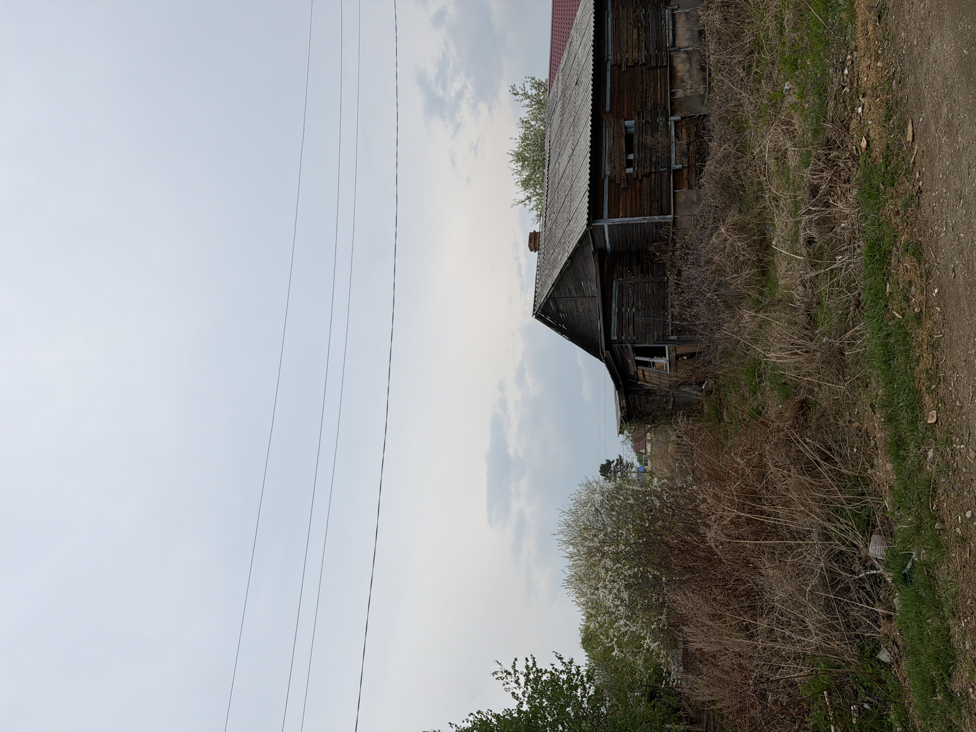 The image depicts a dilapidated, wooden structure, possibly a house, situated on a plot of land in Ptichnik, Russia. The building exhibits signs of disrepair with boarded-up windows and weathered wood. The roof appears to be covered with corrugated material and features a brick chimney. Overgrowth of dried vegetation surrounds the base of the structure, partially obscuring the lower portions. A dirt path runs along the edge of the property. Overhead power lines are visible against a cloudy sky. Green foliage is observed at the bottom of the image.