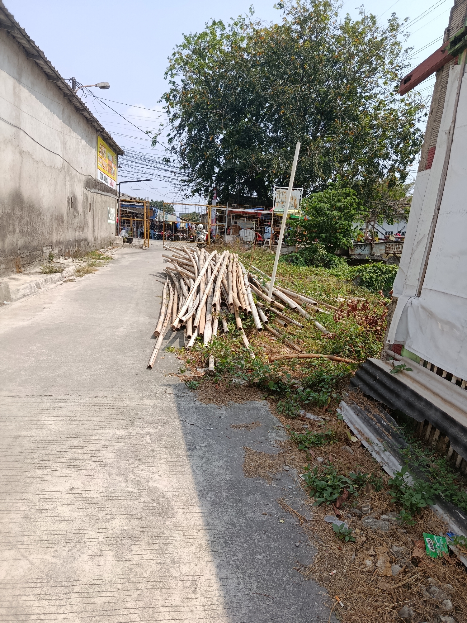 The image depicts a sunlit scene on a concrete pathway in Wanasari, Indonesia. To the left, a long, unpainted concrete building with a corrugated metal roof extends into the background. A street lamp is attached to the building's wall, and electrical wires crisscross the sky. A yellow sign with Indonesian text is partially visible on the building. The pathway leads towards a gated entrance with yellow fencing, behind which a market or gathering appears to be taking place with several people and motorcycles.
In the foreground and middle ground, a large pile of cut bamboo poles lies on the right side of the pathway, scattered amongst dry grass and green vegetation. The bamboo is light brown and appears to be of various lengths and thicknesses, with some poles lying across others. Beyond the bamboo, a dense green tree with dark foliage dominates the background, its branches reaching high into the bright, clear sky. To the far right, a white tarp covers a structure, partially obscuring a corrugated metal fence. The ground is littered with dry leaves, twigs, and some plastic debris, including a green packet. The overall impression is of an outdoor area, possibly on the outskirts of a settlement, with evidence of construction or materials storage.