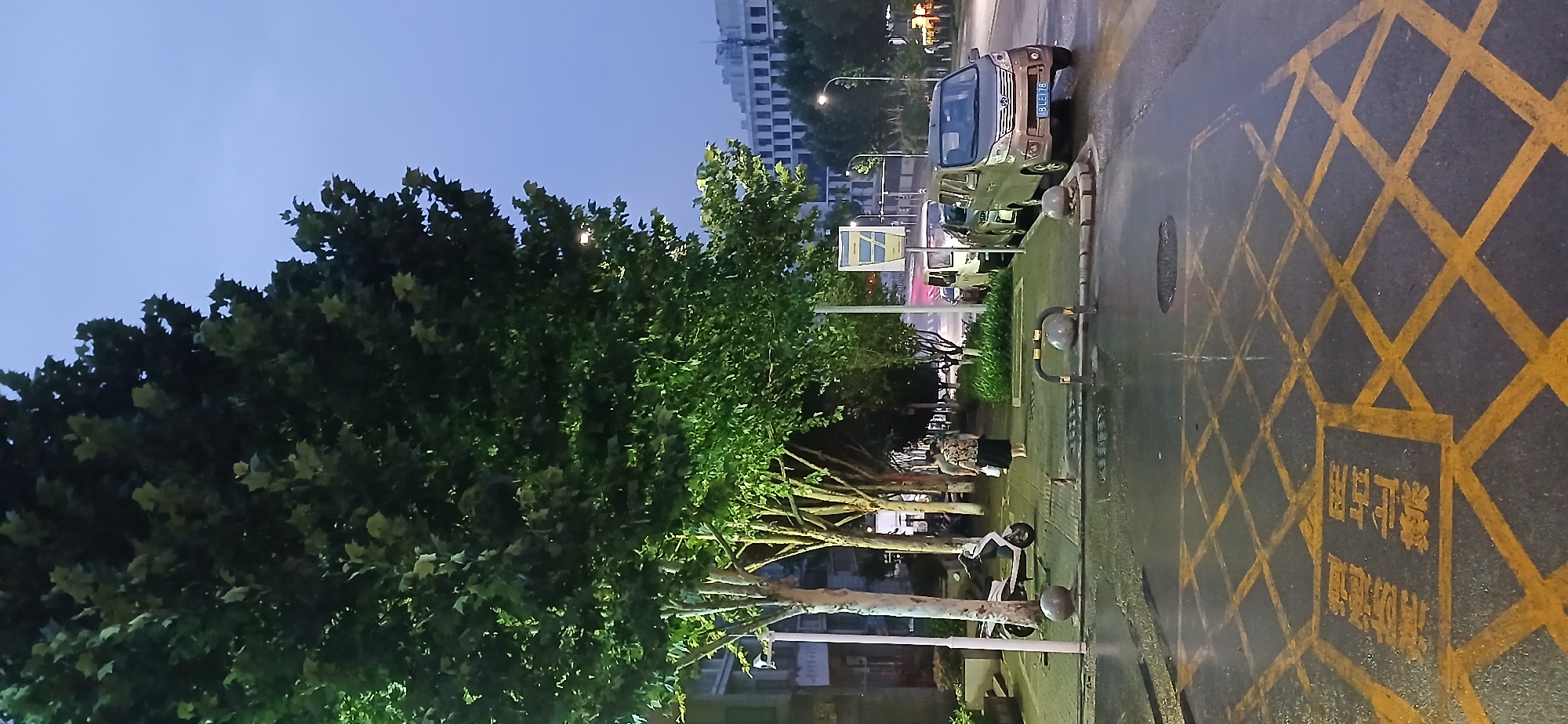 In Jiulongpo District, China, a street scene unfolds at dusk. A person walks on a wet sidewalk lined with trees, their leaves illuminated by artificial light. A scooter is parked nearby. Cars are parked along the curb, with one visible license plate reading "B LE 178". Across the street, buildings rise against a twilight sky. Yellow markings on the wet road indicate a "no stopping" zone.