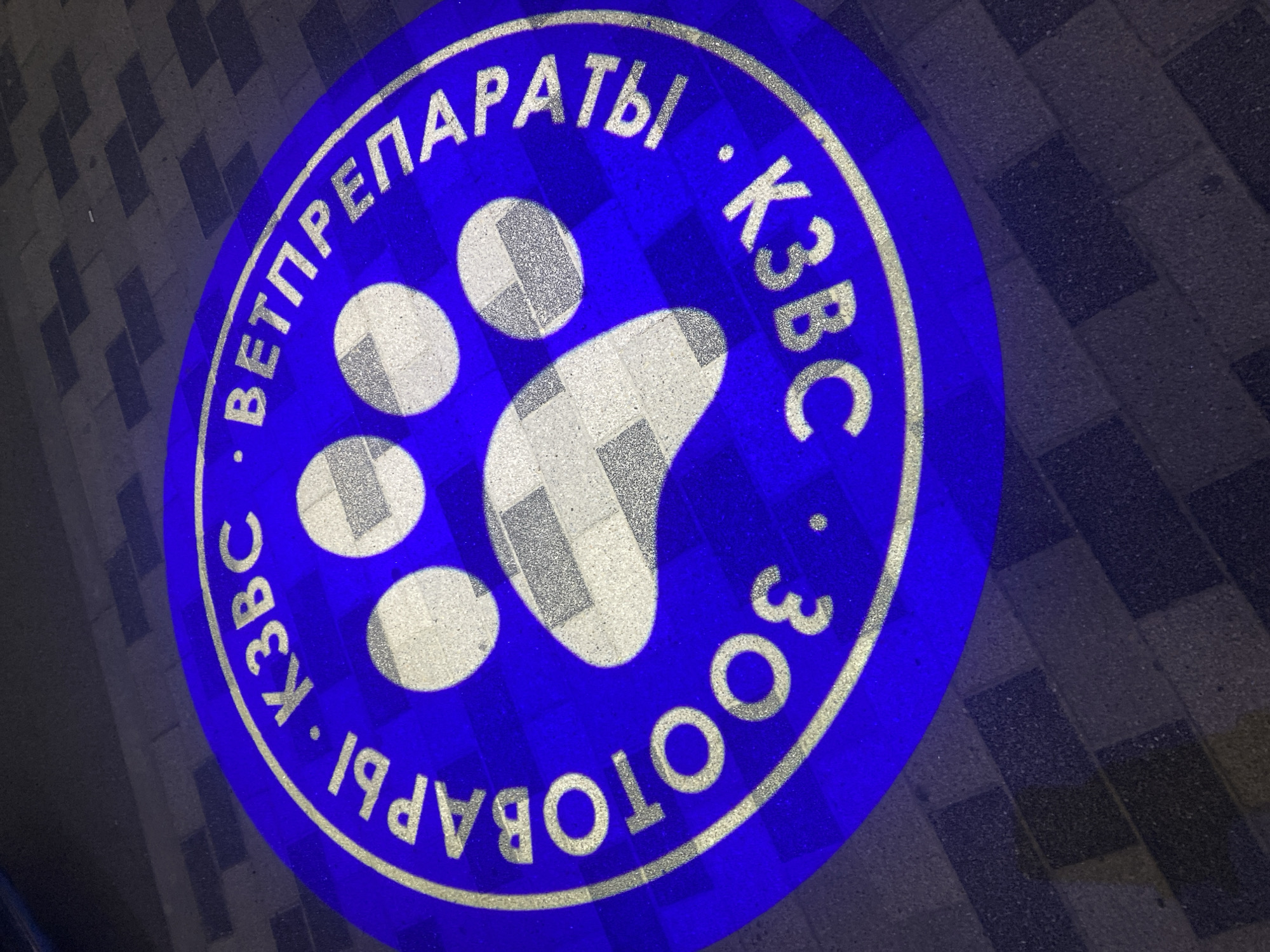An illuminated circular emblem is projected onto a paved walkway. The emblem is predominantly blue with a gold outline and text. In the center of the emblem is a stylized paw print, also outlined in gold. The text encircling the paw print reads "ЗОOTOBАРЫ · K3BC · ВЕТПРЕПАРАТЫ · K3BC" in gold lettering. The walkway is constructed of dark rectangular pavers arranged in a staggered pattern. The lighting conditions suggest it is nighttime or a dimly lit area. No people or animals are visible in the frame.