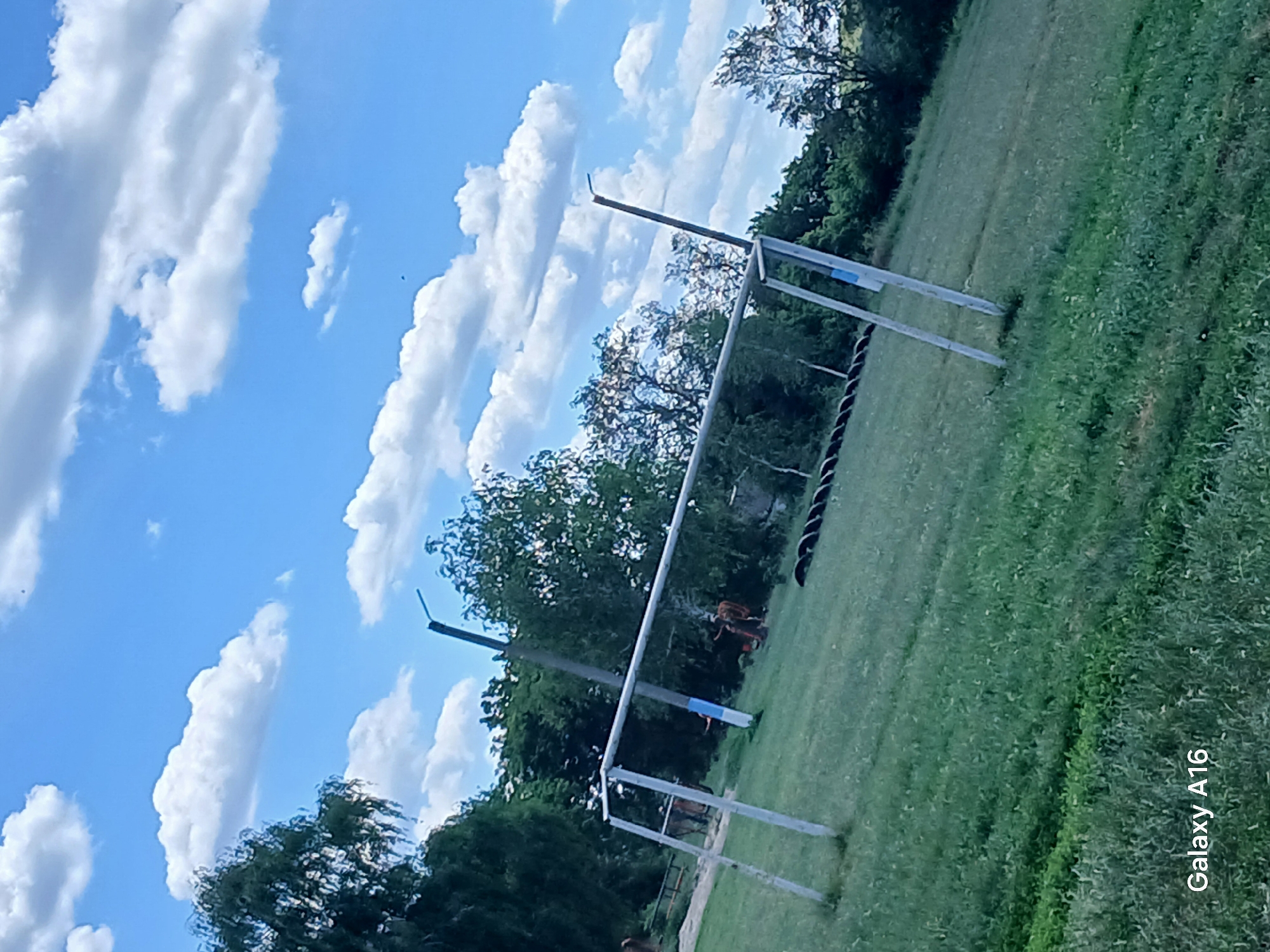 The image depicts an outdoor scene with a soccer goal in the foreground. The goal is constructed of white metal posts and a crossbar. To the left of the goal, two brown horses are visible. In the background, a line of black tires is arranged on the grassy field. Several trees are present behind the field, and a bright blue sky with scattered white clouds fills the upper portion of the image. A power pole with a blue stripe is situated near the goal. The phrase "Galaxy A16" is watermarked in the lower left corner, indicating the device used to capture the photograph. The overall environment suggests a rural or semi-rural setting, potentially a park or training ground. The exact location within Ustyvytsia, Ukraine, is not specified in the image.