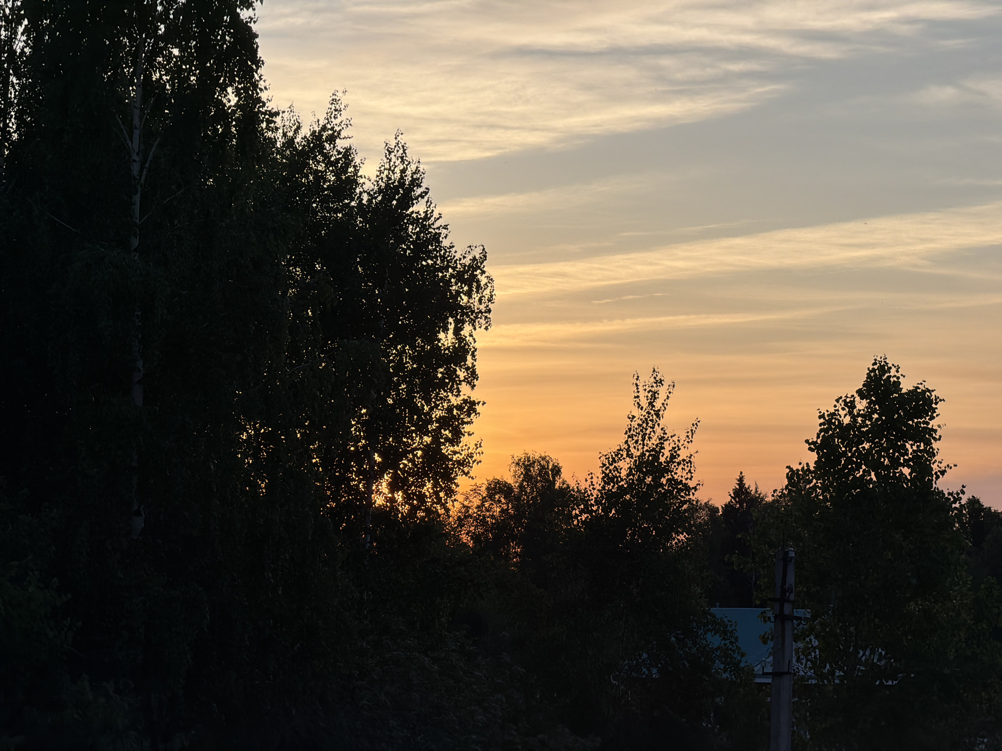 The image shows a sunset scene in Chaikovsky, Russia. In the foreground, dark silhouettes of trees obscure the lower portion of the frame. A birch tree with white bark is visible on the left side of the image. Behind the trees, the sky transitions from pale blue at the top to orange and yellow near the horizon. A few thin, elongated clouds stretch across the sky. Amidst the trees, a utility pole is visible. The overall scene evokes a sense of twilight in a natural or semi-rural setting within the city.