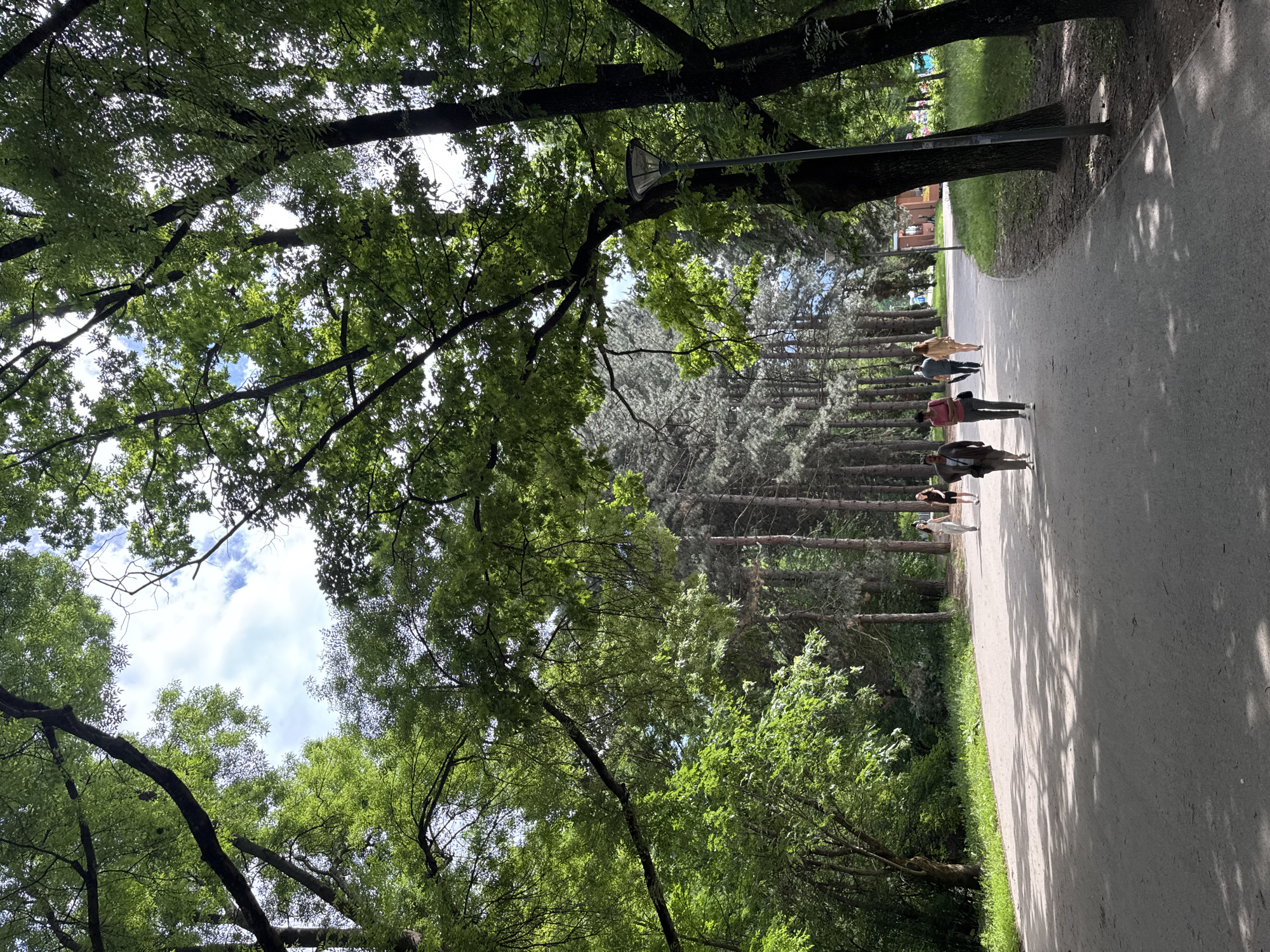 This image presents a detailed view of a bustling park pathway in Sofia, Bulgaria, under a bright, sunny sky. A wide, light-colored path, likely asphalt or compacted earth, dominates the lower two-thirds of the frame, curving gently to the right as it recedes into the mid-ground. Sunlight filters through the dense tree canopy, casting dappled shadows across the path.
The park is richly vegetated with mature trees. On the left, a thick expanse of deciduous trees with vibrant green foliage forms a solid wall of greenery, with branches extending over the path. The right side of the path features a mix of similar broadleaf trees, interspersed with a distinct line of tall, slender coniferous trees that extend further into the background. Overhead, sections of bright blue sky with scattered white cumulus clouds are visible through gaps in the tree canopy.
Several individuals and small groups are engaged in walking along the path. In the mid-ground, two people walk away from the camera. Further along the path, on the left, two women are walking towards the viewer; one wears a pink top and dark pants, while the other is in a light top and dark pants. Behind them, a man walks away, holding a dark umbrella. On the right side of the path, further back, a woman in a light-colored dress walks away, and two more figures are visible walking towards the camera in the distance.
Two dark-colored street lamps with modern designs are visible on the right side of the path, one prominently in the mid-ground and another further back. In the far distance, nestled among the trees on the right, a small, reddish-brown building with a lighter roof is partially visible. The scene depicts a lively recreational environment within an urban setting.