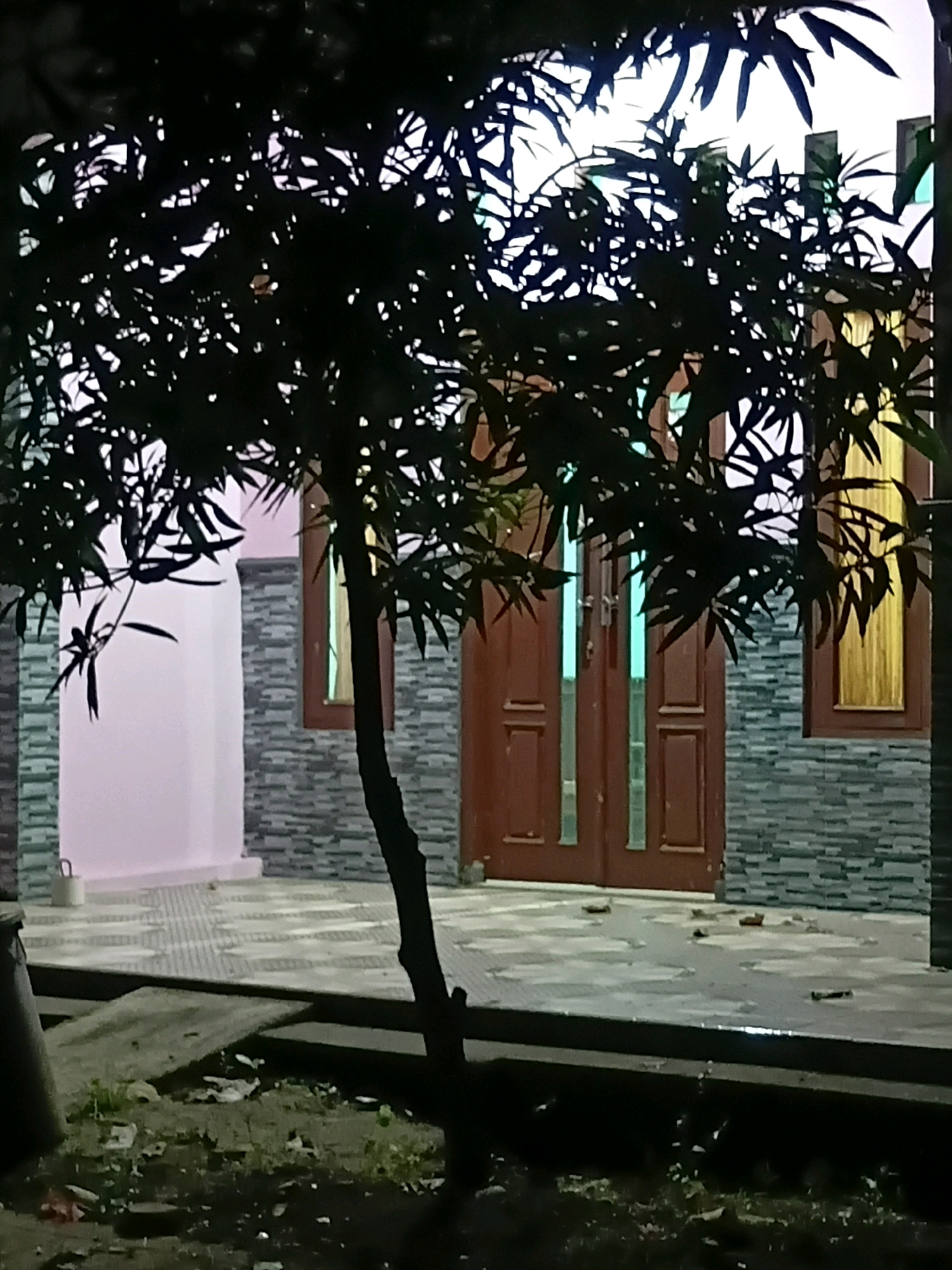 The image captures a nighttime view of a building's facade and its immediate surroundings. In the foreground, a young tree with dark, silhouetted leaves stands to the left, its trunk leaning slightly to the right. The ground in front of the tree is covered in dark soil with scattered debris. A dark, cylindrical object is partially visible on the far left.
Behind the tree, a walkway paved with square tiles leads to the building. The building features a light pink wall on the left, contrasting with a section of gray, stacked stone cladding. A large, wooden double door with glass panes is centrally located, appearing to be the main entrance. To the right of the doors, a window with a wooden frame shows a curtain illuminated by a warm, yellow light from within. The overall lighting suggests it is nighttime, with artificial lights illuminating the scene from inside the building and possibly from streetlights. The location is Cikal, Indonesia.