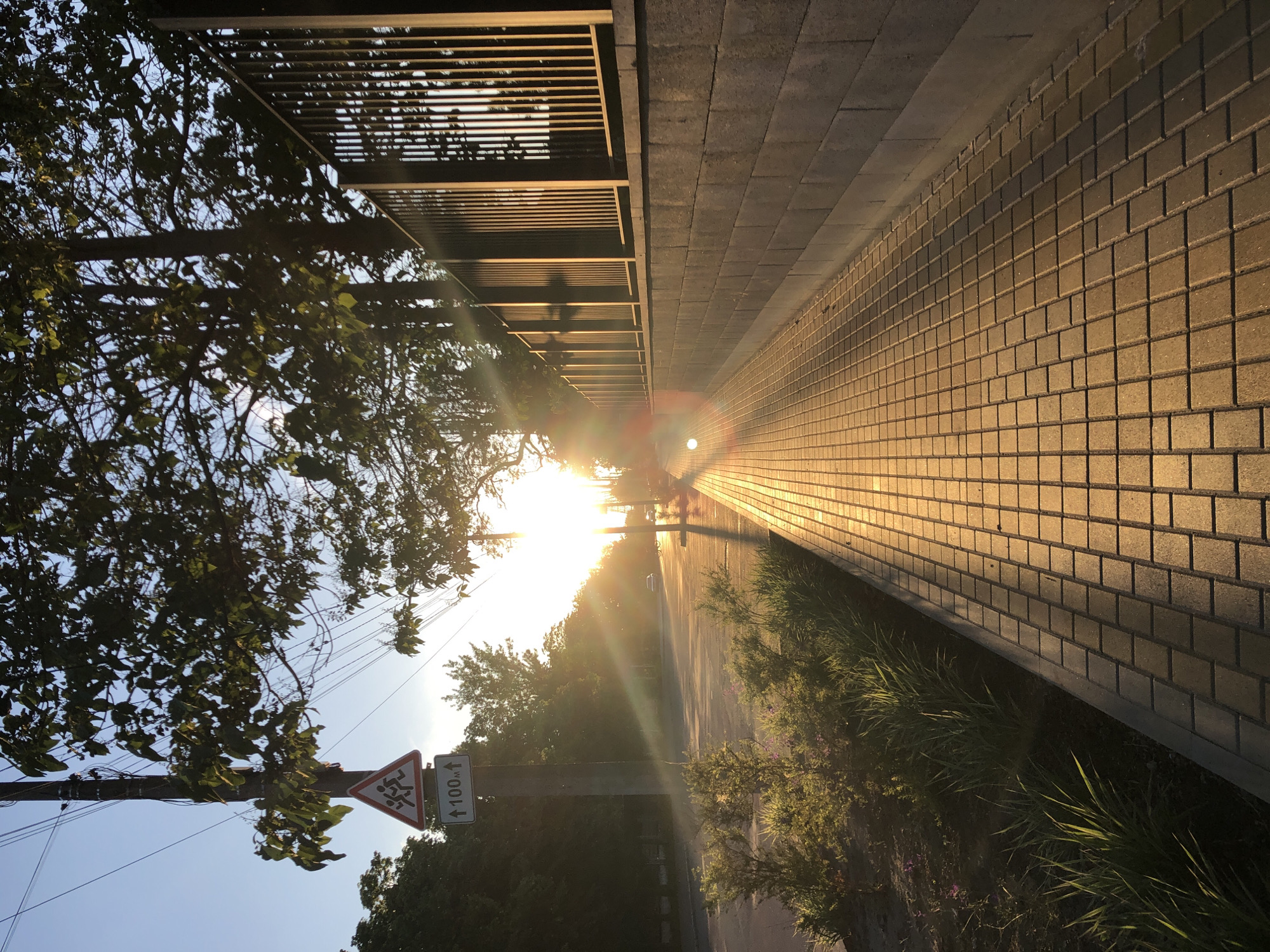 The image, when viewed upright, portrays an outdoor scene bathed in the warm, golden light of either sunrise or sunset. A paved path or sidewalk, constructed from rectangular pavers, extends from the foreground into the distance on the right side of the frame, brilliantly illuminated by the low-angled sun.
Adjacent to the path on the right, a dark, slatted metal structure, possibly a fence or part of an overhead pergola, runs parallel to the walkway. Beyond this structure, and partially intertwined with it, are dense green trees and foliage.
On the left side of the frame, a paved road runs parallel to the path, with a few indistinct vehicles visible in the distance. The road is bordered by more trees and undergrowth, through which the sun's rays filter, creating prominent lens flare. A utility pole or sign post stands on the left, partially obscured by tree branches. Attached to this pole are two road signs: a triangular warning sign depicting a pictogram of two running children, and a rectangular sign below it with an upward arrow and the text "↑ 100M," indicating a warning or feature 100 meters ahead.
The clear sky and intense, golden illumination cast long shadows across the path and surrounding elements, defining the time of day as golden hour. The scene is static, devoid of specific human activity, focusing instead on the atmospheric interplay of light and landscape.