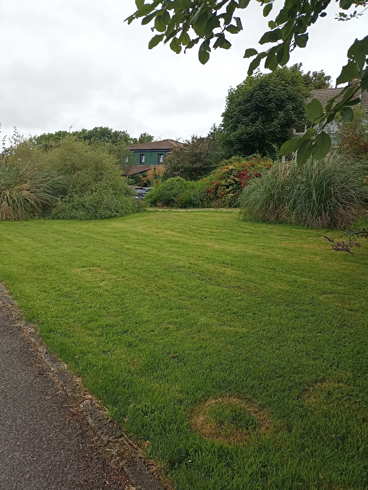 The image depicts a well-maintained residential lawn with a paved border on the left side, likely a street or driveway. The lawn is predominantly green and appears freshly cut, with some patches of discolored grass visible towards the foreground. In the background, a row of lush green trees and shrubs forms a natural barrier. Beyond the foliage, parts of two houses are visible; one is a two-story dwelling with green siding and multiple windows, while the other, partially obscured, has a brown tiled roof. The sky is overcast with gray clouds, suggesting a temperate climate. The scene is peaceful and shows no signs of human activity. The location in Annagry, Ireland, suggests a typical suburban or rural Irish setting.