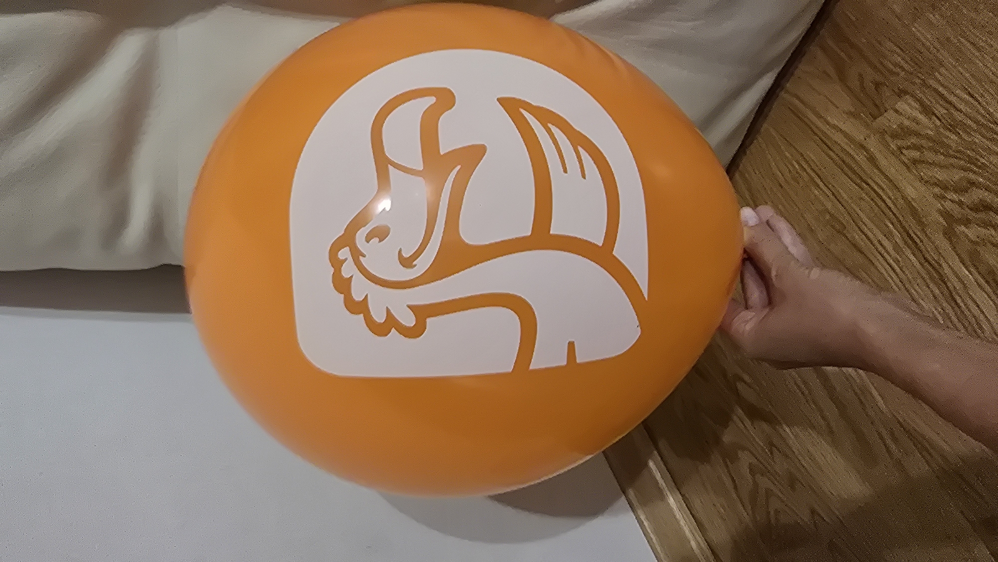 An orange balloon with a white dodo bird logo is held by a person's hand. The balloon is illuminated by artificial light, casting shadows on the wooden floor. The background consists of a white wall and a beige curtain. The image is taken from a medium-high angle. The location is the city of Chaikovsky, Russia.