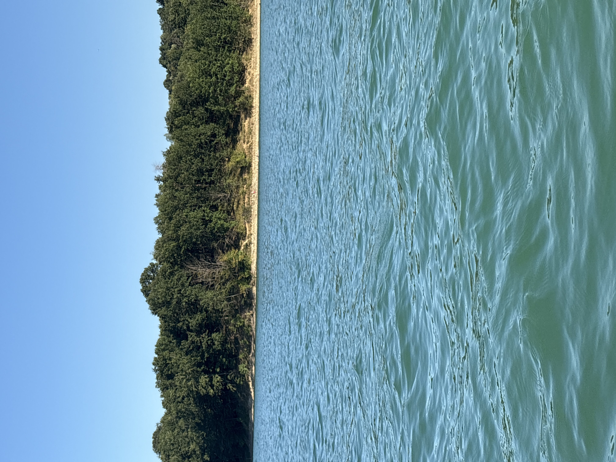 The image depicts a serene lake scene under a clear blue sky. The foreground is dominated by the tranquil, turquoise water of a lake, with gentle ripples indicating a slight breeze. In the background, a dense line of green trees forms a natural border along the shore, with a strip of tan earth visible between the water and the treeline. The trees are lush and varied, suggesting a natural, undeveloped environment. The sky is a uniform, bright blue, with no clouds visible. This scene appears to be a natural landscape. The location is the lake in Golyama Zhelyazna, Bulgaria.