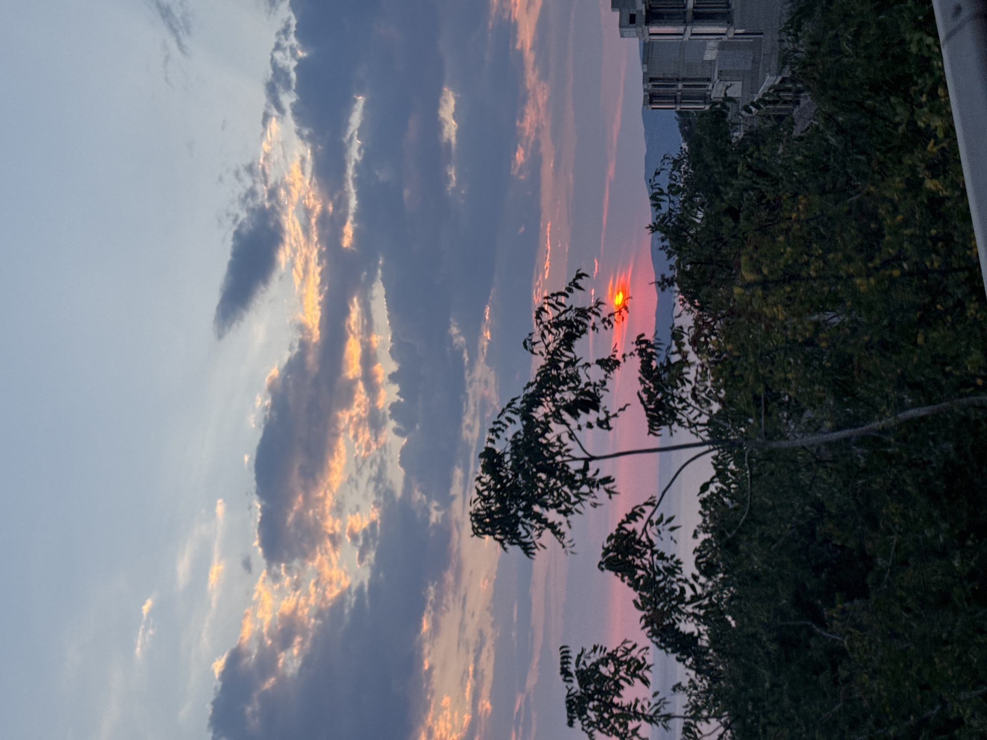 This is a vertical, medium shot photograph of a sunset viewed from Drobnići, Montenegro. The sky is a gradient of light blue at the top, transitioning to pink and orange hues near the horizon, with scattered clouds. The sun, a bright red orb, is visible low in the sky, partially obscured by a tree in the foreground. Silhouetted against the colorful sky are several trees with dark green foliage. To the right of the image, there is an unfinished concrete building. The background features distant, hazy mountains.
