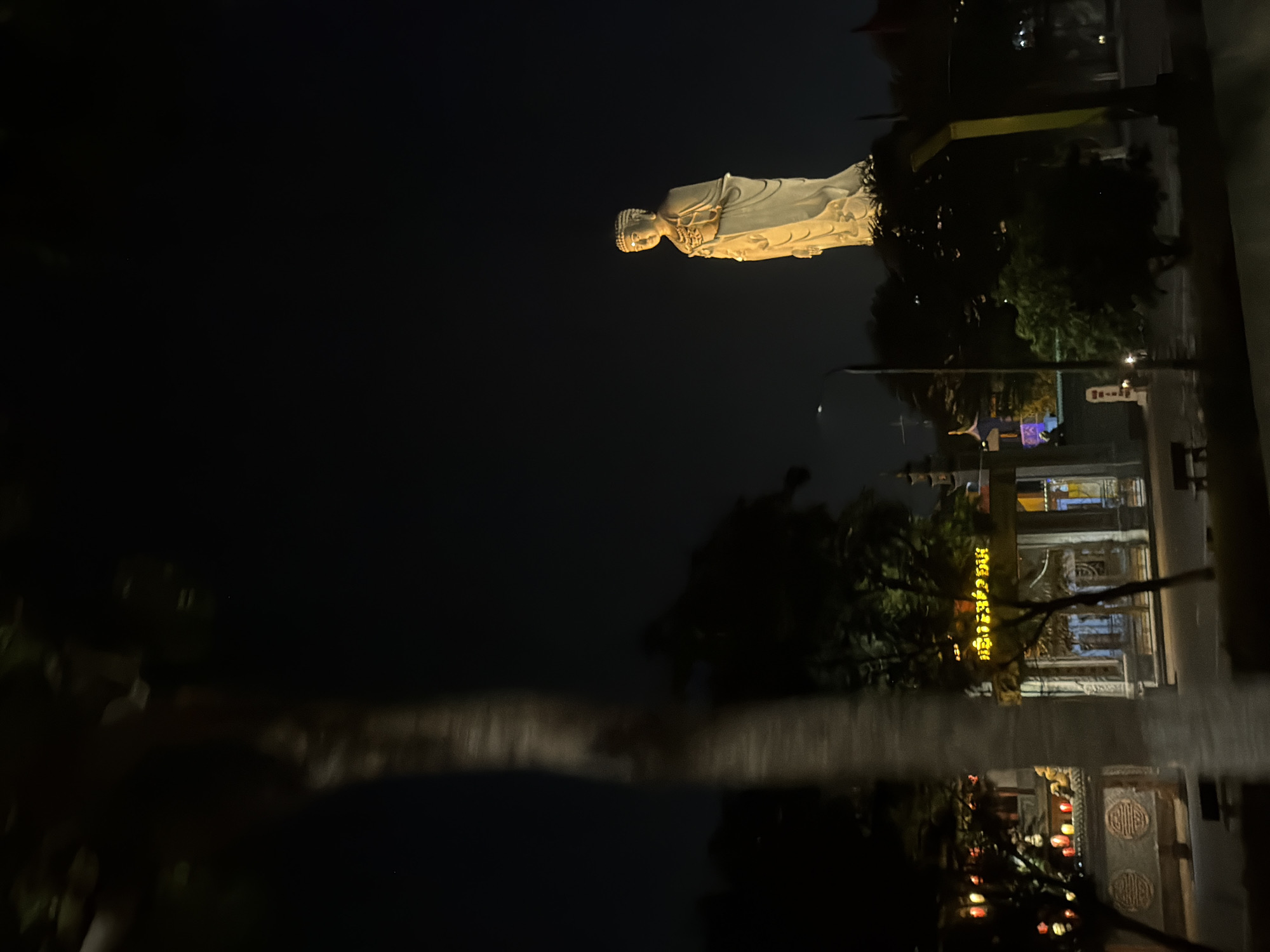 A nighttime scene shows a large, brightly lit statue of a standing figure, presumably a deity or religious icon, against a dark sky. The statue is white and appears to be made of stone or concrete, with intricate details in its clothing and headdress. It is situated on a slightly elevated area surrounded by trees. In the foreground and to the left, a large tree trunk, blurred due to motion or shallow depth of field, dominates the left side of the frame. To the left of the statue and behind the tree, a building with illuminated architectural elements and hanging lanterns is visible. The building has a traditional Asian architectural style with ornate decorations. The ground in front of the building shows some paved areas and benches. The overall impression is that of a well-lit religious or cultural site at night, possibly a temple or monument. This statue is known as the Lady Buddha, located at the Son Tra Peninsula in Da Nang, Vietnam.
