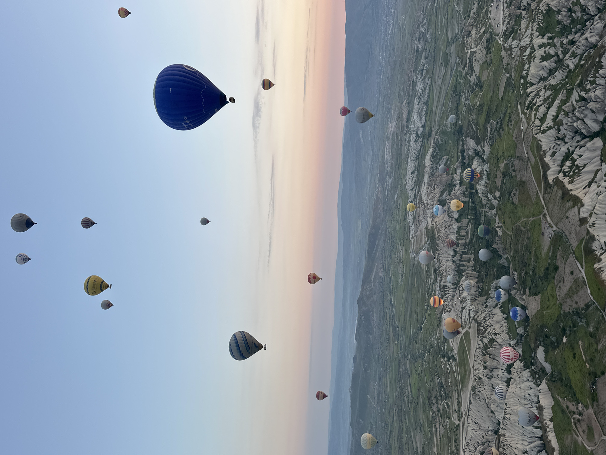 The image captures a breathtaking hot air balloon flight over the distinctive geological landscape of Göreme, Cappadocia, Turkey. The scene unfolds during what appears to be either sunrise or sunset, marked by the sky's gentle gradient, transitioning from a clear light blue overhead to warm, soft hues of pink, orange, and pale yellow near the horizon.
Numerous hot air balloons, varied in size, color, and pattern, fill the expansive sky and hover over the terrain. A large, prominent blue balloon with "Voyager Balloons" and "T-809.A" faintly visible on its fabric, dominates the upper-mid section of the frame, suggesting close proximity to the viewer. Below and across the wide panorama, dozens of other balloons, including striped, solid-colored (yellow, red, blue, white), and patterned designs, are seen ascending or drifting. One yellow balloon displays partially legible text, possibly "TURKISH". Another white balloon features dark, indistinct text, and a striped balloon closer to the ground shows "Barcelo".
The setting is defined by Cappadocia's unique "fairy chimney" rock formations and valleys, which appear as rugged, light gray or whitish geological structures punctuated by verdant green vegetation. These formations create a textured, almost otherworldly landscape that recedes into the distance towards hazy mountains on the horizon. The clear sky indicates optimal weather conditions for flying. While no individuals are explicitly visible, the scene evokes a sense of awe, tranquility, and adventure, showcasing a popular and iconic aerial spectacle in an extraordinary natural environment.