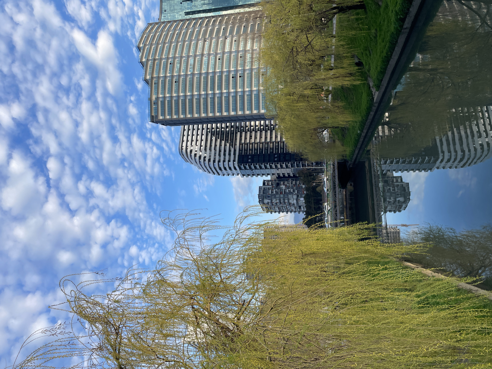 The image presents a cityscape, seemingly in Batumi, Georgia, as inferred by the presence of distinctive modern buildings. Two primary structures are visible: one with a linear, rectangular design and another with a curved facade. The buildings appear to be reflected in a body of water, possibly a canal or river, creating a mirror image effect. The sky above is blue with scattered white clouds. In the foreground, there are trees with early spring foliage, suggesting it is a transitional season. The vegetation appears along the water's edge, providing a natural contrast to the urban elements.