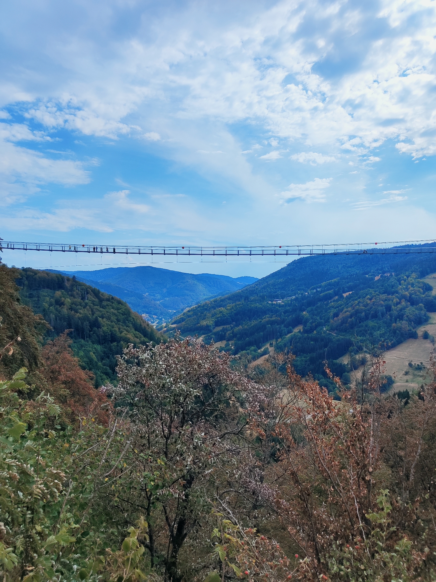 The image depicts a suspension bridge spanning a deep valley in the Black Forest, near Todtnau, Germany. The bridge is supported by cables and railings, with a walkway populated by several silhouetted figures. Below the bridge, the valley is densely covered with green trees, creating a lush, verdant landscape that transitions into hills and distant mountains. The sky above is a clear blue, dotted with scattered white clouds. In the foreground, the branches of trees, some with autumn foliage, are visible, adding depth and texture to the scene.