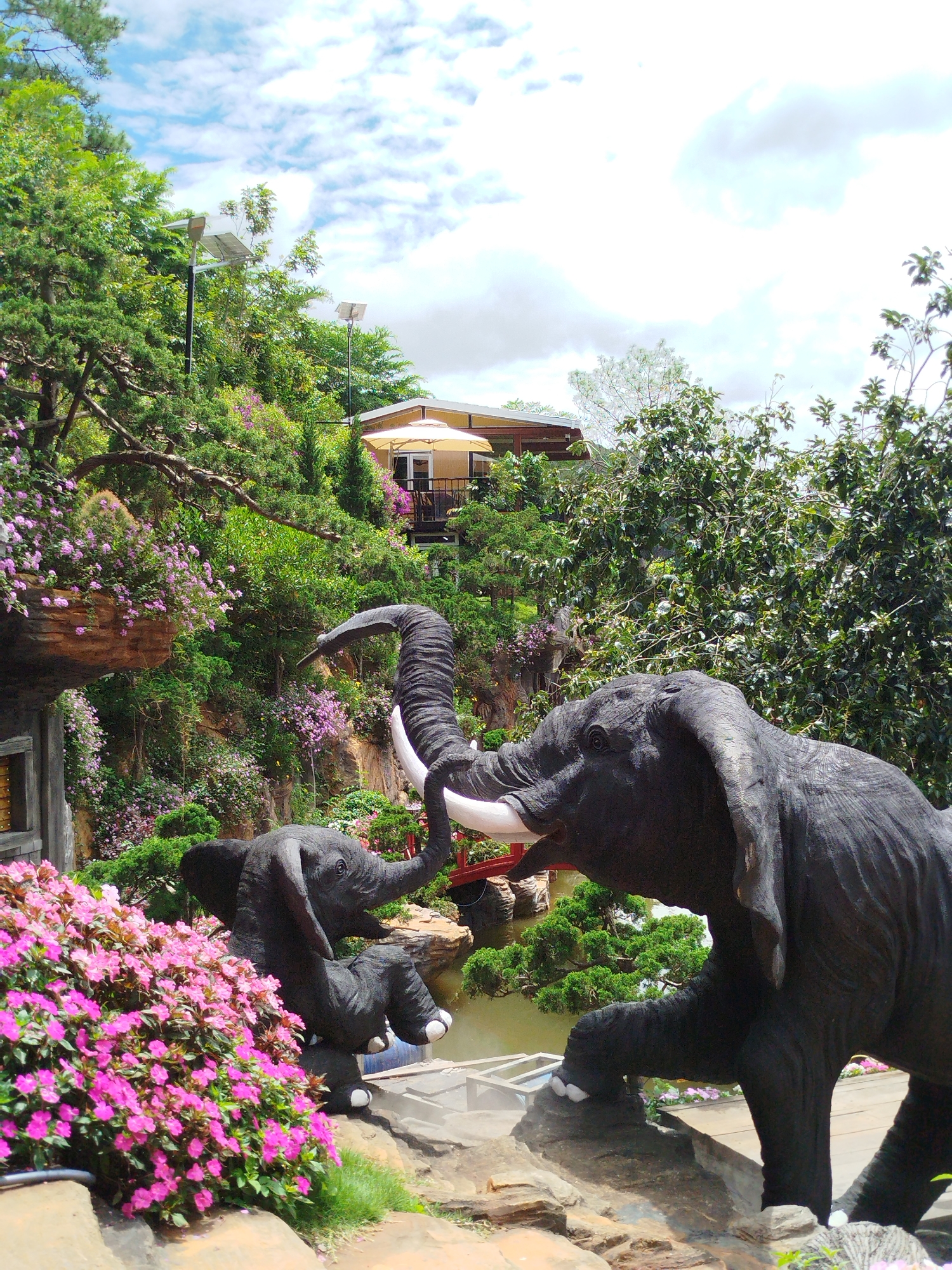 The image depicts a garden scene in Da Lat, Vietnam, featuring several life-sized elephant statues. In the foreground, a large dark gray elephant statue is positioned to the right, with its trunk raised and touching the trunk of a smaller elephant statue. The smaller elephant is situated to the left and slightly behind the larger one, also appearing to be interacting with the larger statue. Both statues are detailed, with visible tusks and wrinkled skin textures.
Surrounding the elephant statues are lush green trees and vibrant pink flowers. The larger elephant stands on a rocky outcrop. Behind the statues, a body of water is visible, crossed by a red bridge. Further in the background, a multi-story building with a light-colored exterior and a prominent beige umbrella is nestled amongst the trees on a hillside. Two solar-powered streetlights are mounted on poles, visible above the trees in the upper left quadrant of the image. The sky is partly cloudy with white clouds against a blue background. The overall impression is that of a decorative garden or park attraction.