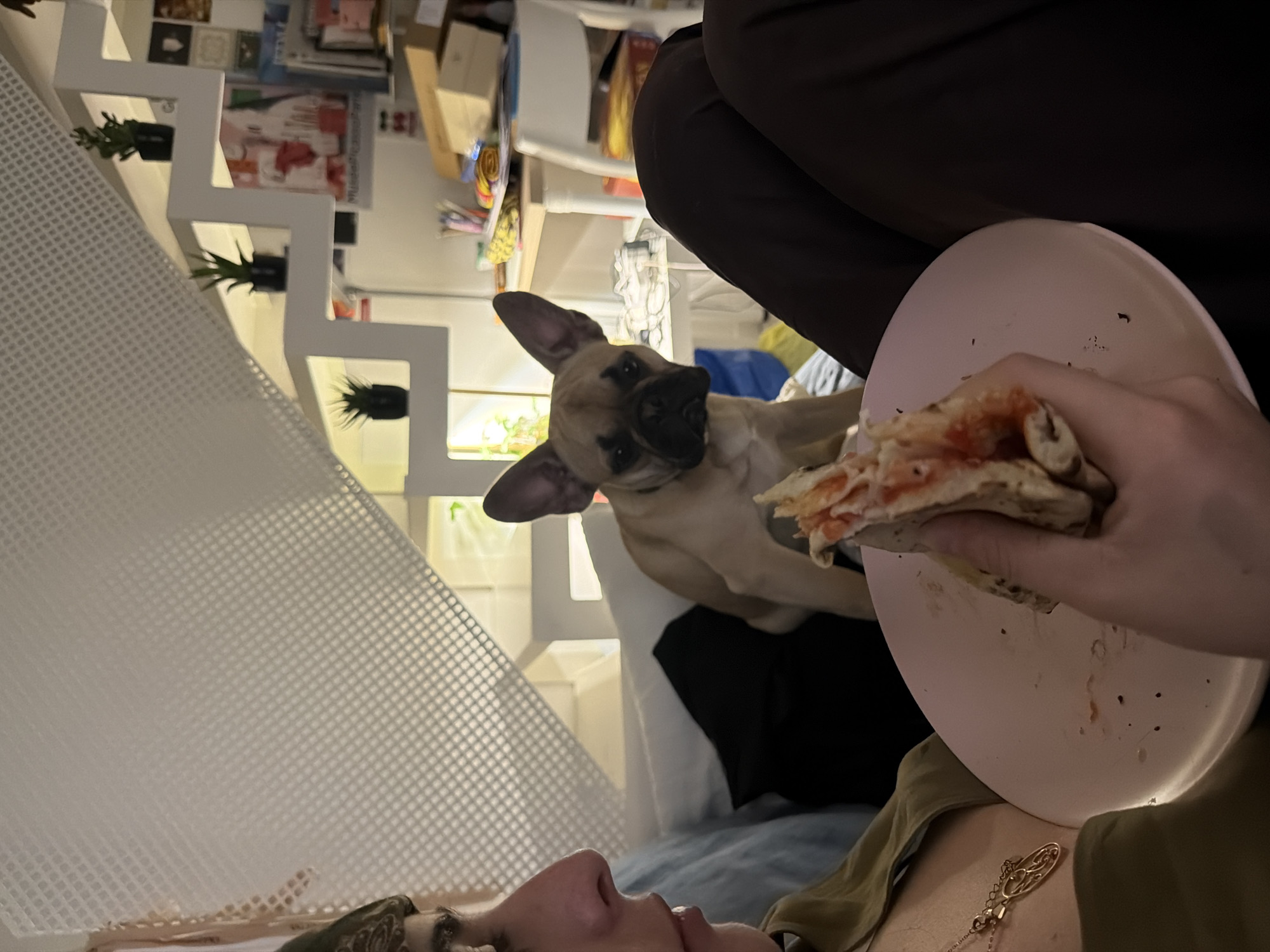 A person is lying on their back, holding a pizza slice on a pink plate. A tan-colored dog is leaning over the person, looking at the pizza. The setting appears to be indoors, with a white mesh structure and white shelves in the background. The shelves have small potted plants. The context of the image does not provide any direct indicators to suggest the location is Milan, Italy. Therefore, without additional information, it is not possible to confirm this specific location.