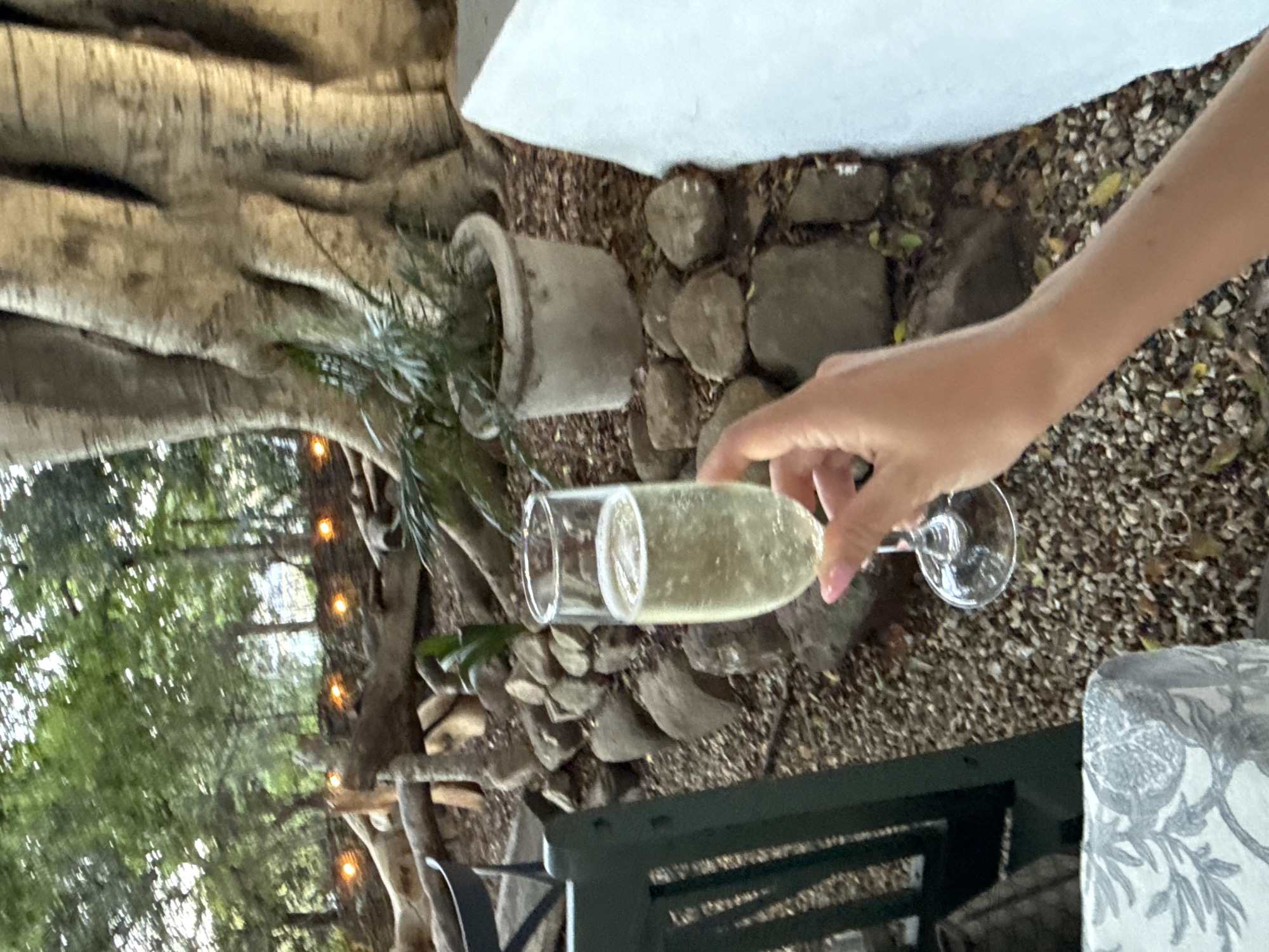 A partial view of an individual's right arm and hand holding a champagne flute filled with a light-colored, effervescent liquid is the primary focus of the image. The background reveals an outdoor setting, featuring a tree trunk with a potted plant, stones, and what appears to be a patio or garden area. Trees with lights are visible in the distance, suggesting a city location, likely Cape Town, South Africa. A table with a patterned tablecloth and a dark green chair or bench are also in the scene. The overall impression is one of a relaxed, outdoor event.