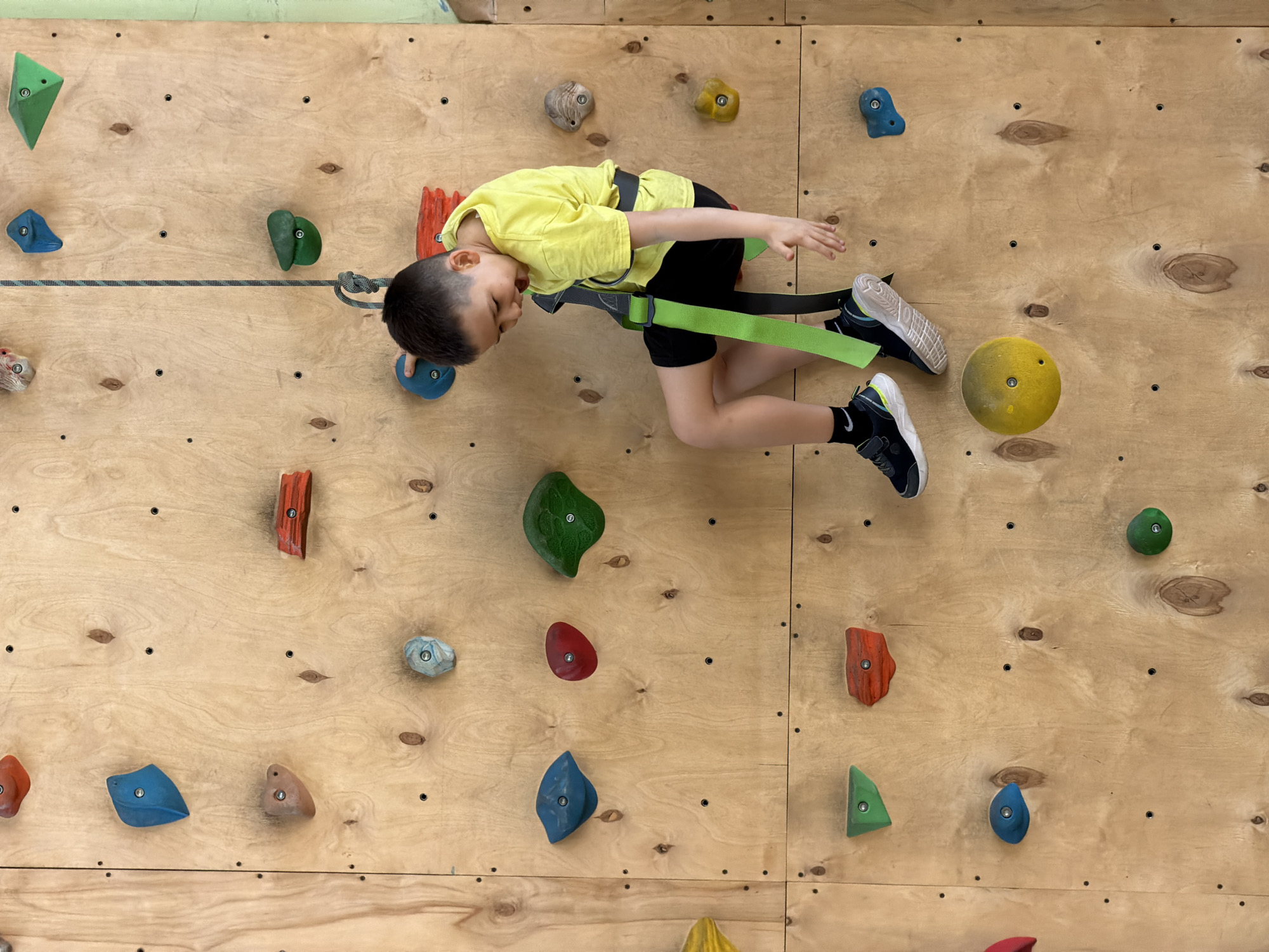 A young child, likely a boy, is depicted suspended horizontally against an indoor rock climbing wall. He is wearing a bright yellow t-shirt, black shorts, and black and white sneakers, and is secured by a prominent green and grey climbing harness. A grey climbing rope extends from the harness, leading off-frame to the left, with a knot visible near the child's head, indicating he is belayed or on a safety line.
The climbing wall is constructed from light-colored wooden plywood panels, featuring numerous colorful holds of various shapes and sizes. These holds include green angular shapes, blue rounded holds, red, grey, and orange textured holds, and a large yellow spherical hold towards the lower right. Small black screws or bolts fasten the holds to the wooden surface.
The child's body is oriented almost parallel to the ground, with his hands reaching towards holds and his feet positioned on others, suggesting he is actively climbing, resting, or in a controlled descent. His facial expression shows concentration and effort, but no distress. The setting is an indoor facility, likely a climbing gym or recreational center, providing a safe environment for this activity in Izhevsk, Russia. No visible text is present in the image.