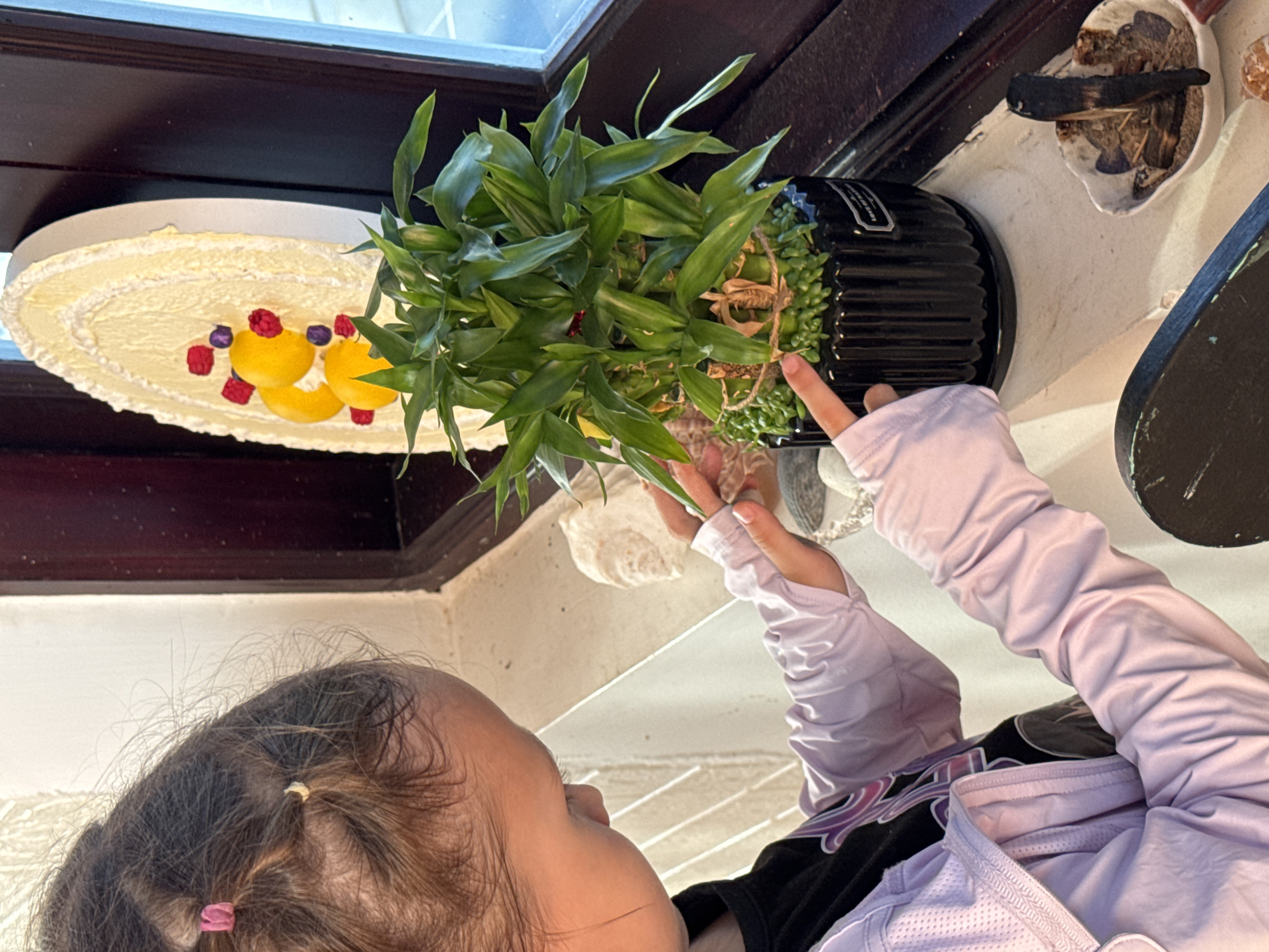 A young girl with dark hair, tied in pigtails with pink and yellow elastics, is leaning over a potted plant on a windowsill. She is wearing a light purple jacket over a black shirt with a graphic design. Her right hand is touching a leaf of the plant, and her left index finger is pointing at the base of the plant. The plant is a lucky bamboo with multiple stalks growing from a black ceramic pot. The pot is filled with small green beads at the base and is tied with twine around the bamboo stalks. Behind the plant, a decorative oval object with a textured yellow surface, adorned with faux fruits and berries, is visible. The windowsill is made of a light-colored material, possibly concrete or stone, and a seashell is placed to the left of the plant. To the right of the plant, a small white dish contains ash and a burnt piece of wood, possibly incense or palo santo. The background shows a dark wooden window frame and a blue pane of glass. The scene appears to be indoors, by a window.
