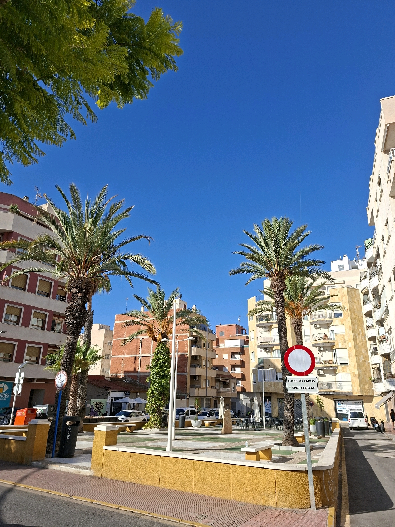The image depicts a street scene in Torrevieja, Spain, on a clear, sunny day. The foreground is dominated by a raised, yellow-painted planter with a tiled edge, bordering a paved walkway. Beyond this, a paved area features benches and is partially covered by palm trees. Several buildings of varying architectural styles line the street, including apartment buildings with balconies and brick facades. A large red and white circular sign with text below it is prominently displayed on a pole near a palm tree. Vehicles, including cars and a white van, are visible on the street and parked. A person can be seen walking on the sidewalk in the distance. The sky is a vibrant blue with a faint contrail from an aircraft. Lush green foliage from a tree hangs into the upper left portion of the frame.