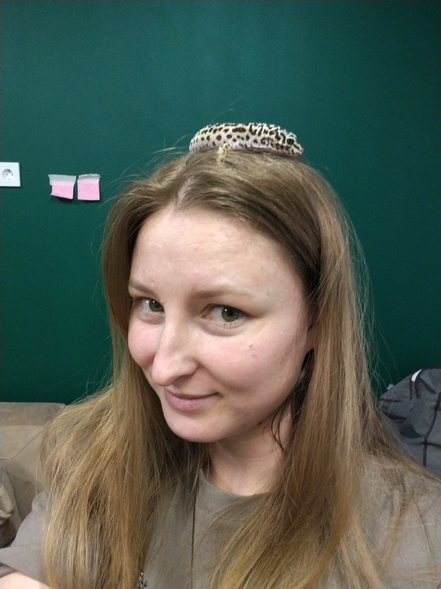 A person with light brown hair is facing the camera with a slight smile, and a leopard gecko is perched on the top of their head. The gecko is tan with dark brown spots. Behind the person is a dark green wall with a white electrical outlet and two pink sticky notes attached to it. The bottom of the frame includes part of a beige couch and a gray and black garment. The image was taken in an indoor setting; however, the location of Chaikovsky, Russia is not clear from the image.