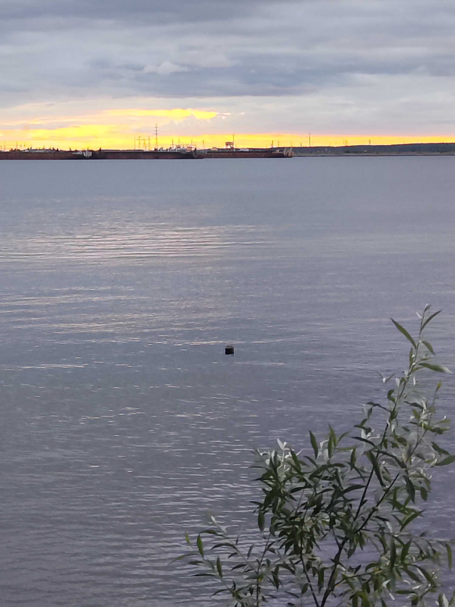 The image depicts a serene waterfront scene at dusk, likely in Chaikovsky, Russia, given the provided context. The sky is a canvas of muted grays and blues, with a striking band of golden-yellow light near the horizon, indicating the setting sun. This vibrant hue is reflected in the calm, rippling surface of the water, creating shimmering patterns.
In the distance, a line of industrial structures and ships is silhouetted against the colorful sky, suggesting a port or industrial area. The ships appear to be at anchor or moored, contributing to the sense of stillness. The water itself is the dominant element in the foreground and midground, its surface broken by gentle waves. A small, dark, rectangular object floats on the water, its purpose unclear, but it adds a touch of intrigue to the otherwise tranquil expanse.
To the right, a branch of a leafy green plant, possibly a willow or a similar deciduous tree, extends into the frame from the bottom right corner. Its leaves are delicate and catch the ambient light, providing a natural contrast to the man-made elements in the distance. The overall mood is peaceful and contemplative, with the soft light and calm water creating a sense of quietude. The time of day is clearly evening, with the fading light of sunset casting a warm glow on the horizon. The weather appears to be overcast, with the clouds obscuring the direct sunlight but allowing the atmospheric glow to emanate. There is no visible text in the image.