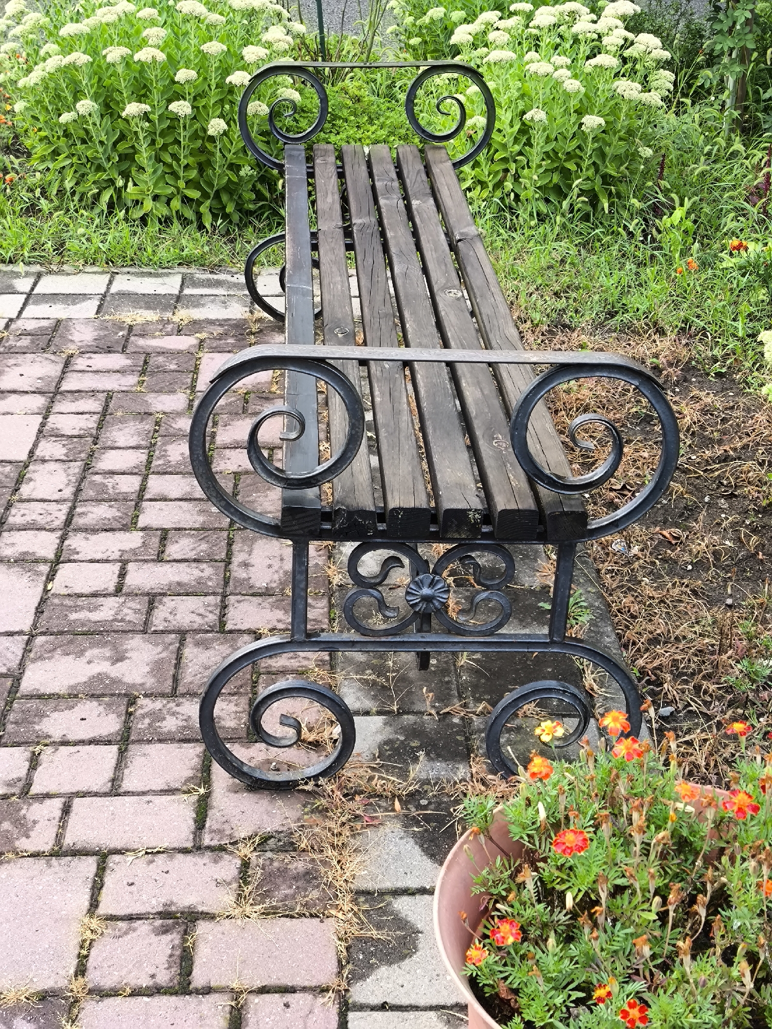 This image depicts a park bench in Yessentuki, Russia, situated on a paved walkway made of reddish-pink bricks. The bench itself is constructed with dark wooden slats for the seat and back, supported by ornate black wrought iron legs and armrests. The armrests feature decorative spiral scrollwork. Behind the bench, a lush green bush with clusters of small white flowers is visible. To the right of the bench, in the foreground, a terracotta pot overflows with vibrant orange and red marigolds. The ground around the walkway and bench is covered with dry grass and some fallen leaves, suggesting an outdoor, possibly slightly unkempt, setting.