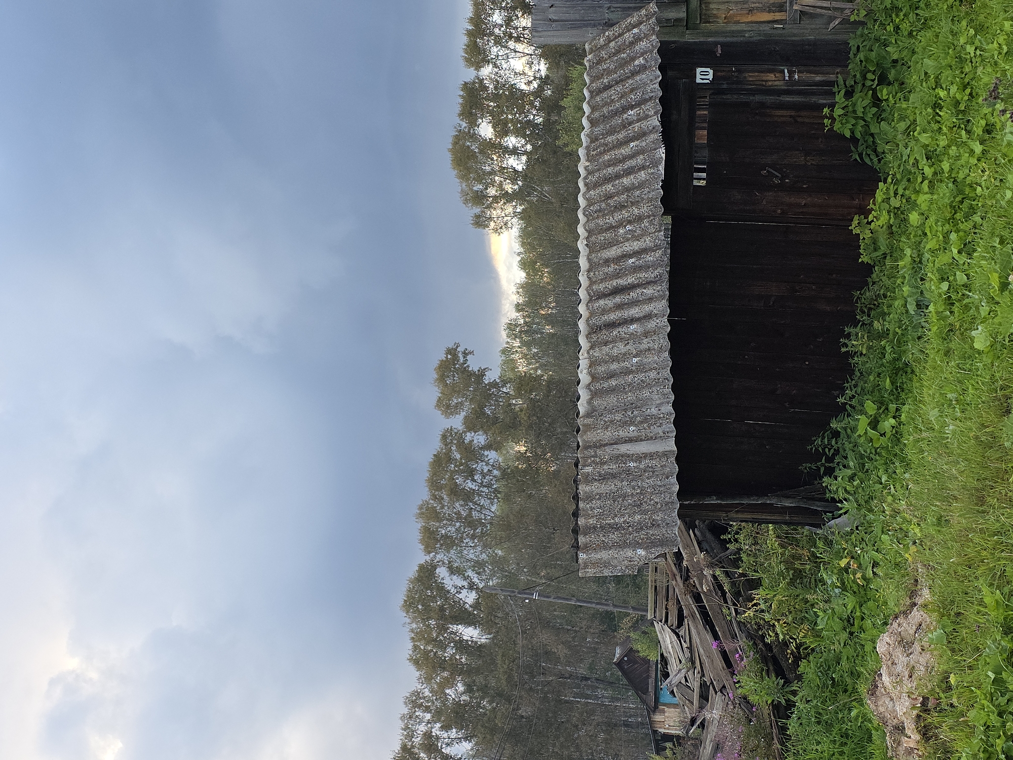 The image depicts an outdoor scene with a wooden structure in the foreground, likely a shed or outbuilding, covered by a corrugated roof. The structure is dark brown and appears weathered. A number "10" is visible on the right side of the structure. To the left of the shed, there is a pile of dilapidated wooden debris and some vegetation, including pink wildflowers. In the background, a line of trees with autumnal foliage stretches across the horizon, with a power pole and wires visible in front of them. The sky is overcast with dramatic clouds, with a faint sliver of light breaking through on the left side. The overall environment suggests a rural or semi-rural setting, possibly on the outskirts of Magnitka, Russia, given the context. There are no people or animals visible in the image.