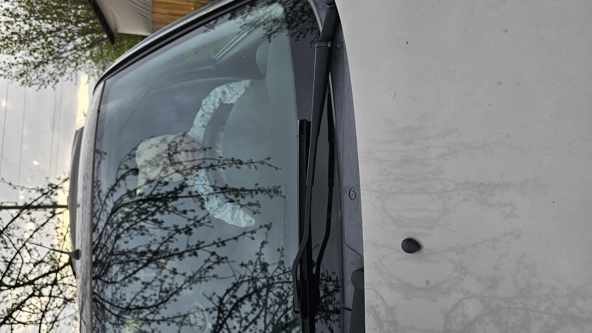 The image shows a partial view of a vehicle. The windshield reflects a tree with sparse foliage, suggesting early spring. Inside the vehicle, a patterned steering wheel cover is visible. The exterior of the vehicle is white or light gray, and there is a black cap or button on the side panel. The image does not provide enough information to confirm the location as Neftekamsk, Russia.