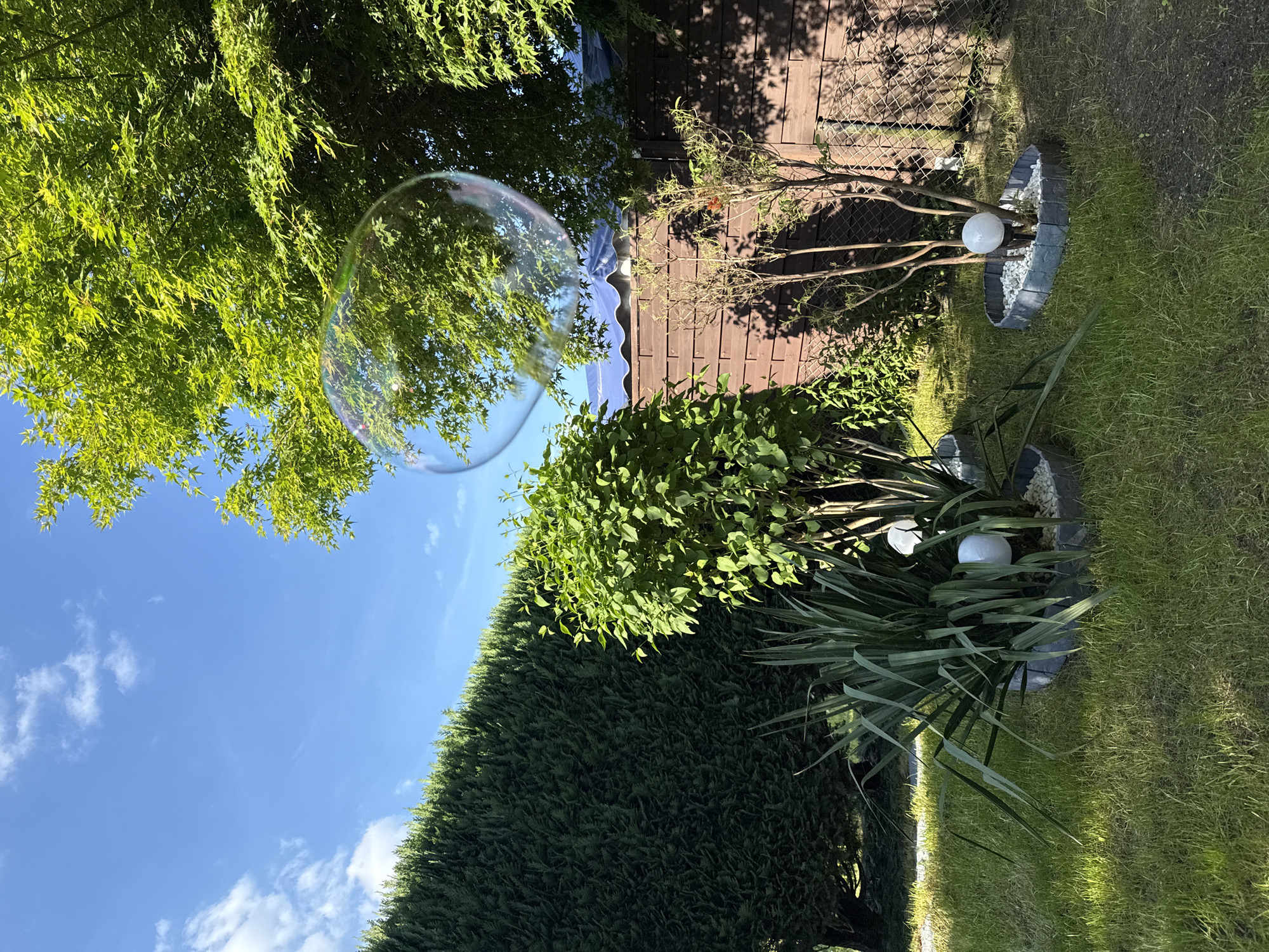 The image shows an outdoor garden setting in Lauchhammer, Germany. The sky is blue with scattered white clouds. A tall, dense evergreen hedge stretches across the lower portion of the image. Above the hedge, there are bushes, and above the bushes there's a tree with vibrant green leaves. A large, transparent bubble floats near the tree. A wooden fence with a wire mesh overlay is visible in the background. In front of the fence, there are some spindly tree branches and two planters. Each planter has grey rock siding, white rocks inside, and a white spherical light. Lawn grass surrounds the planters.