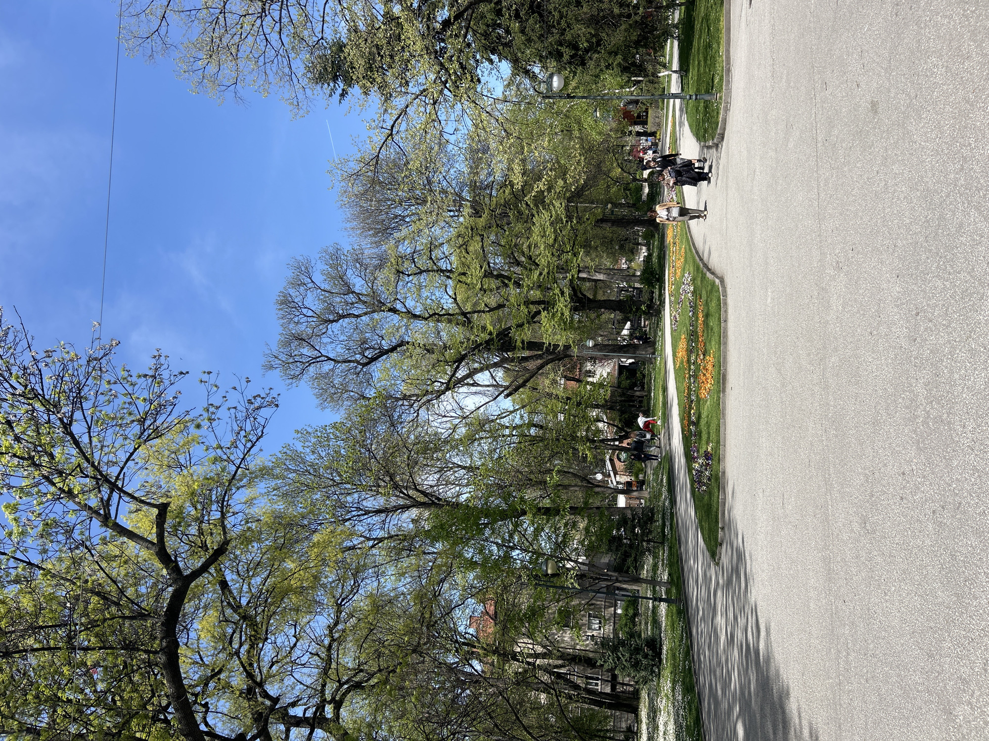 This image depicts a wide, tree-lined park or boulevard in Plovdiv, Bulgaria, bathed in bright sunlight on a clear day. The scene is captured during what appears to be spring, evidenced by the fresh, light green foliage on the numerous deciduous trees that dominate the frame.
A spacious, light grey paved path stretches from the bottom center of the image, curving gently towards the upper right. To the left of this path, a strip of manicured green grass is adorned with colorful flowerbeds, featuring vibrant yellow, orange, and purple blooms, along with scattered white flowers. Further left, beyond the grass and flowers, stands a dense line of mature trees, their branches forming a canopy against the blue sky. Some branches, particularly in the foreground, appear to be just beginning to leaf out.
Several people are visible enjoying the park. One individual in light-colored clothing stands near the flowerbeds on the left side of the path. Further along the path, a small group of three people, two dressed in darker attire and one in a white and red jacket, are walking away from the viewer. Another figure can be seen in the distance.
The sky is a clear, brilliant blue with a few faint wispy clouds and a subtle contrail from an aircraft visible towards the top right. Strong sunlight casts distinct shadows onto the paved path and grassy areas, indicating it is daytime, likely midday or early afternoon. Lampposts are interspersed among the trees, suggesting artificial lighting for evening use. In the background, partially obscured by the foliage, some buildings with red roofs and light-colored facades are visible, hinting at an urban setting surrounding this green space. No discernible text is visible within the image. The overall impression is one of tranquility and natural beauty in an urban park environment.