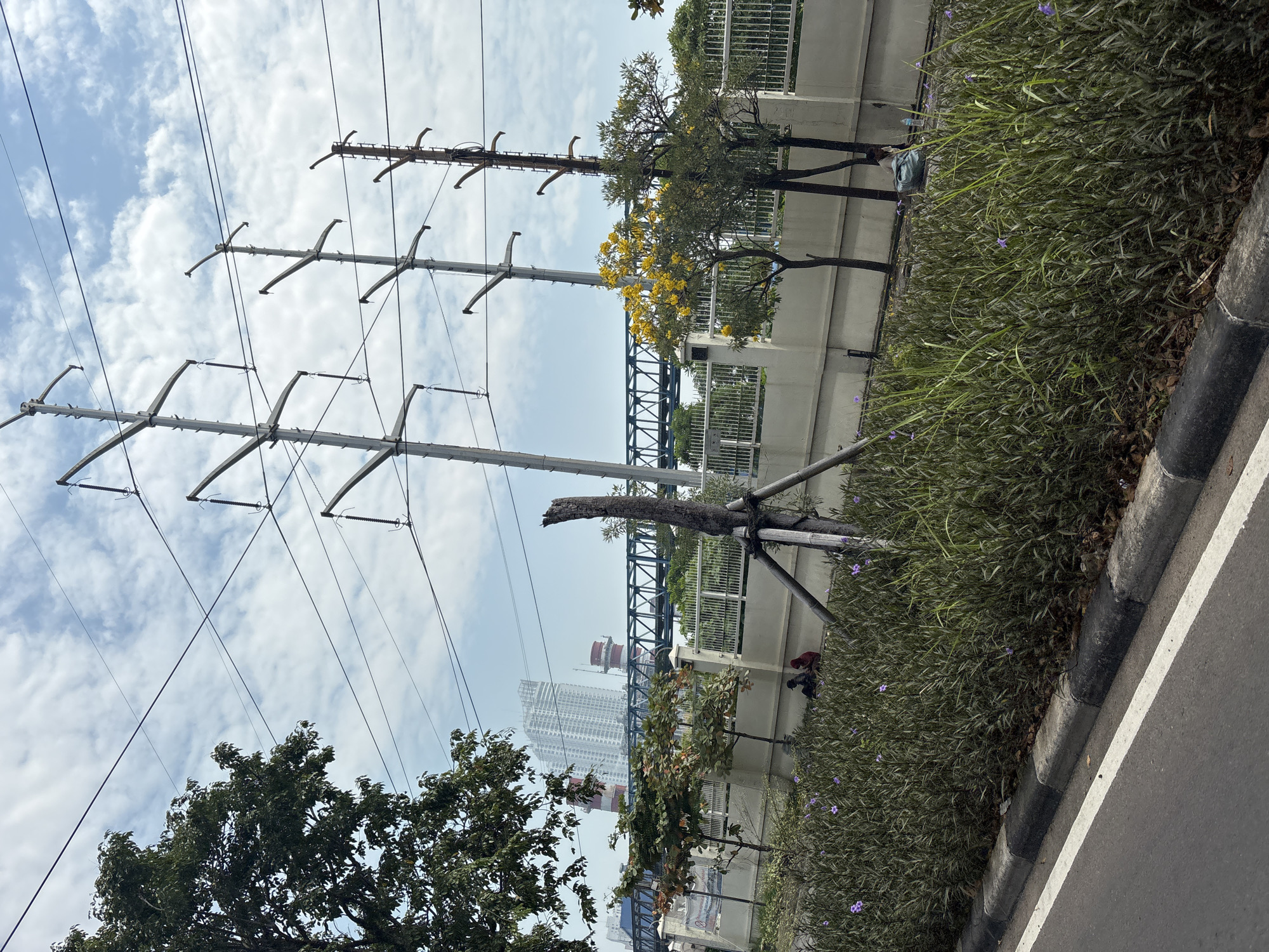 The image presents a daytime urban street scene, likely in North Jakarta, Indonesia, viewed from a slightly elevated or roadside perspective. The sky is largely overcast with scattered white clouds.
Prominently featured on the left and center are multiple large electricity pylons or utility poles, equipped with numerous horizontal insulators and carrying a dense network of overhead power lines that crisscross the sky.
To the right, a paved road with a black and white striped curb runs alongside a green area. This area consists of a planter filled with tall, lush green shrubbery and some small purple flowers. Behind this vegetation, a white concrete barrier or wall spans the length of the scene, suggesting an elevated walkway or structure. Several trees grow along this barrier; one near the center is notably adorned with bright yellow flowers, while another to the left is a darker green, leafy tree.
In the mid-ground, a blue-grey metal bridge or overpass structure is visible, extending horizontally across the frame. Further in the background, a cityscape emerges, featuring several tall buildings. A large white high-rise building, possibly under construction, stands out, alongside two industrial-looking red and white cylindrical structures or chimneys.
Two individuals are discernible behind the green foliage and near the white barrier, beneath the yellow-flowered tree. One person, wearing a red top, appears to be sitting or crouching on the ground. No specific activity or event is clearly depicted beyond their presence. No discernible text is visible in the image.