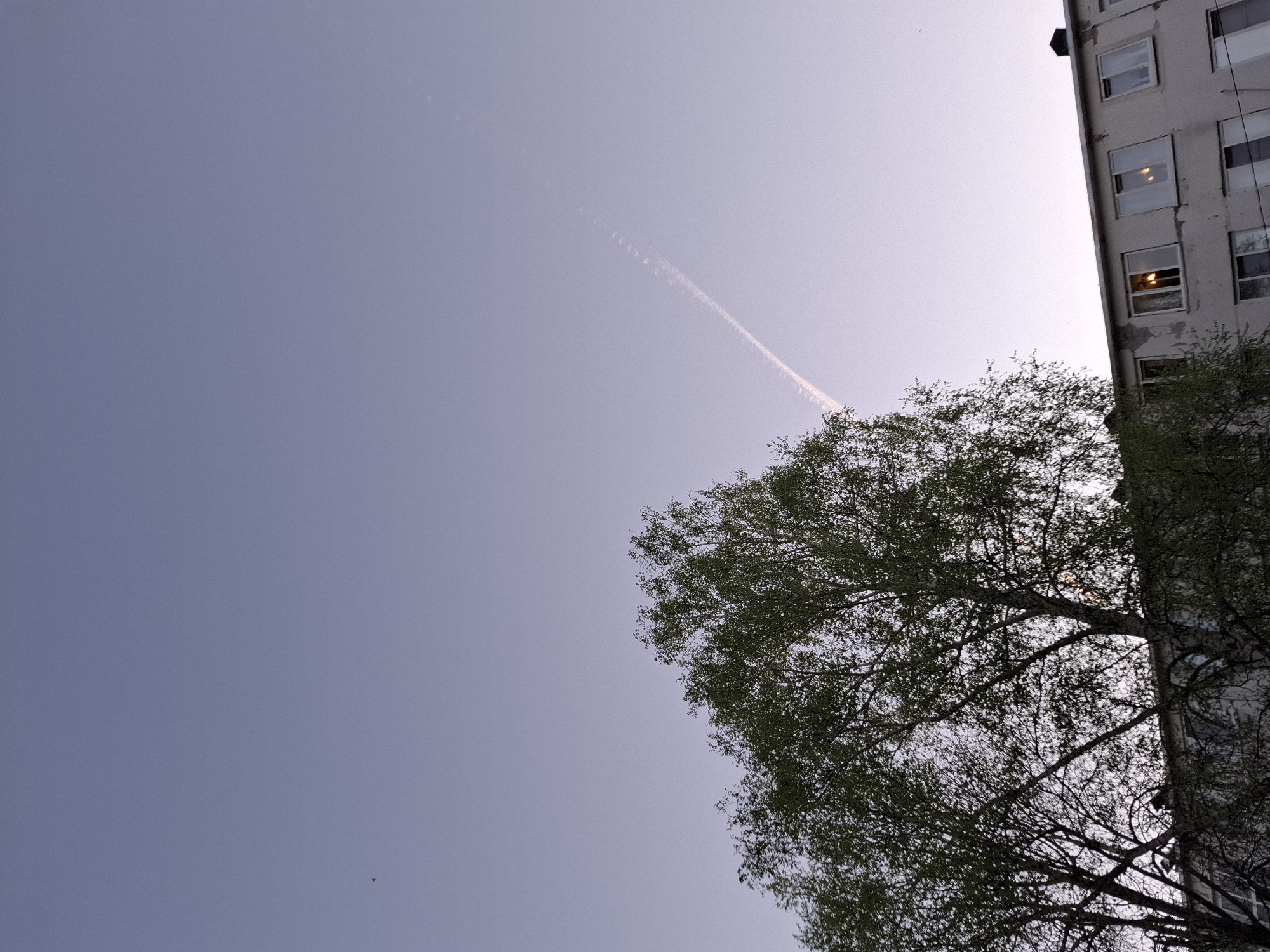The image depicts a sky scene in Chaikovsky, Russia. The sky is light blue with a contrail cutting across it diagonally from the upper left to the right center. A tree with green leaves occupies the lower right quadrant of the image, partially obscuring a gray building with several windows, two of which show interior lighting. The image appears to have been taken from a low angle, looking up.