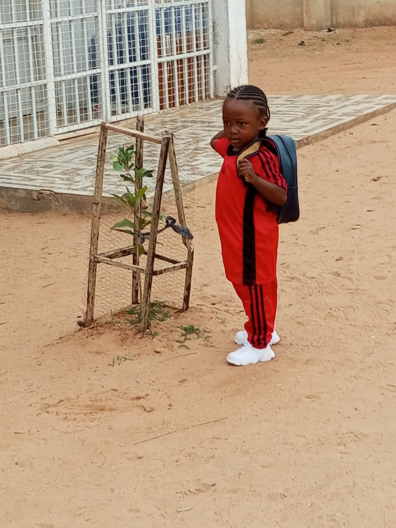 A young child stands outside on a sandy ground in Gombe, Nigeria. The child wears a red tracksuit with black stripes, white sneakers, and a backpack. To the child’s left is a small tree supported by a wooden frame. Behind the child is a building with white-framed windows and a tiled pathway. The ground is light brown sand.