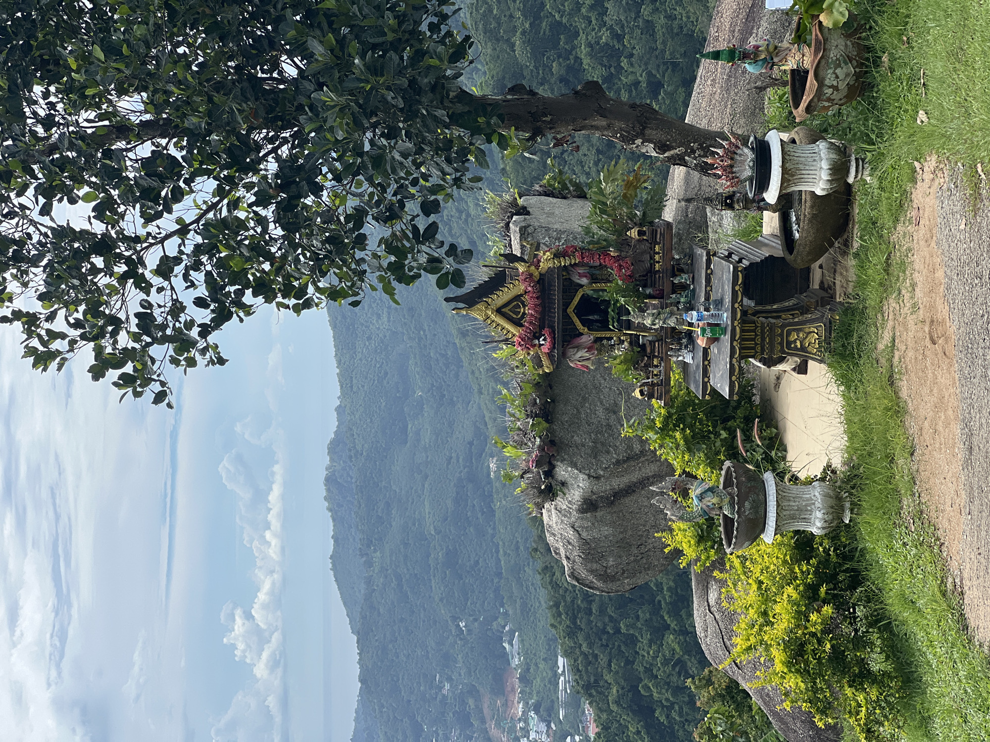 This image depicts a serene outdoor scene at a viewpoint overlooking Karon, Thailand. In the foreground, a small, ornate shrine is set up on a rocky outcrop. The shrine is decorated with red flowers and gold trim and contains several small statues and offerings. In front of the shrine is a table with drinks and more offerings. To the right of the shrine, a large tree with dark green leaves shades part of the scene. Several potted plants and decorative statues are placed around the shrine, including one resembling a multi-headed serpent. The ground is covered in grass and a dirt path. In the background, rolling green hills covered in dense forest stretch towards the horizon, with a glimpse of the ocean and a town nestled within the landscape. The sky is partly cloudy with a mix of blue sky and white cumulus clouds.