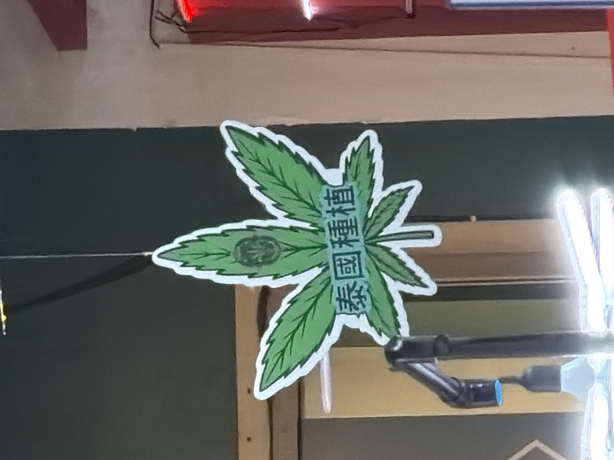 A green, seven-lobed cannabis leaf-shaped sign, outlined in white, hangs from a thin string indoors. The sign features the light-green Chinese characters "泰國種植" (Thailand Cultivation) inscribed horizontally across its lower central portion, and a dark circular emblem with a stylized plant design is centered within its uppermost lobe. The background is composed of a dark green wall to the left and a vertical section of a lighter beige wall to the right. Below the sign, a black, bent pipe-like fixture with a blue tip and a blurred white light source are partially visible. A vertical strip of red light is discernible along the far right edge of the frame. No individuals are present. The image captures a commercial display in Bangkok, Thailand, likely indicating a business involved with cannabis, given the signage and the country's current laws.