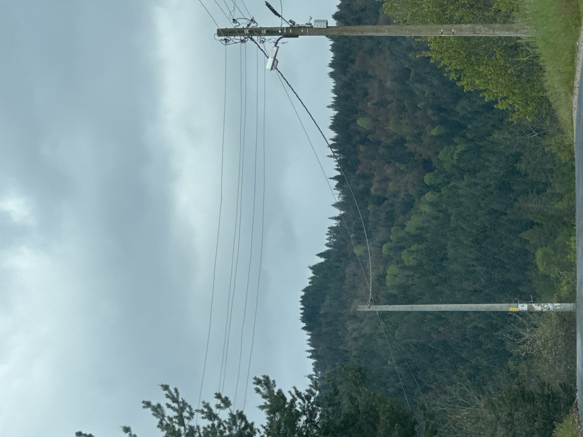 The image depicts a cloudy day with two utility poles and power lines running across the frame. A forested hillside forms the backdrop. The lower foreground contains tree branches. The scene is located near Chokmanovo, Bulgaria.